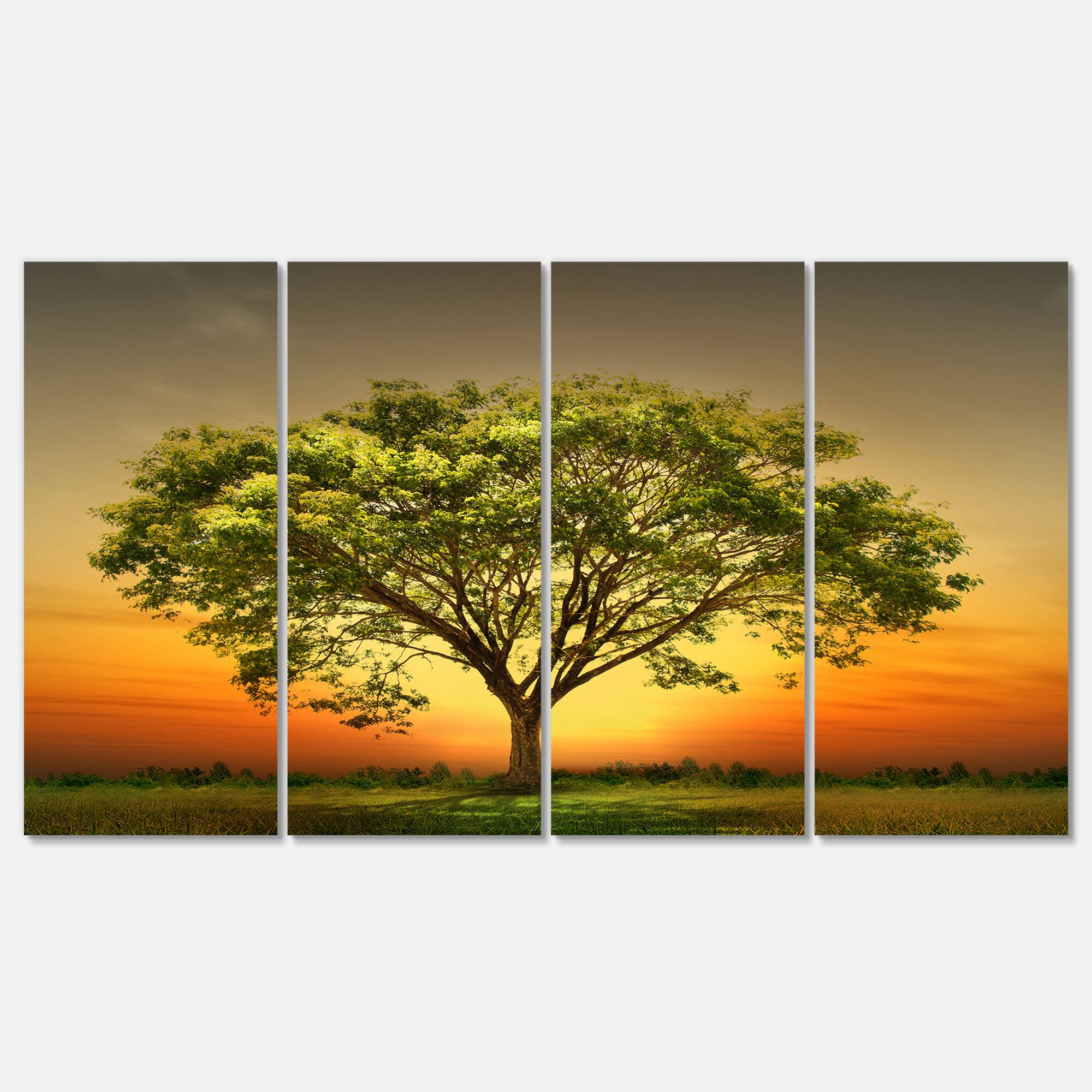Designart - Green Tree against Setting Sun - Trees Canvas Art Print