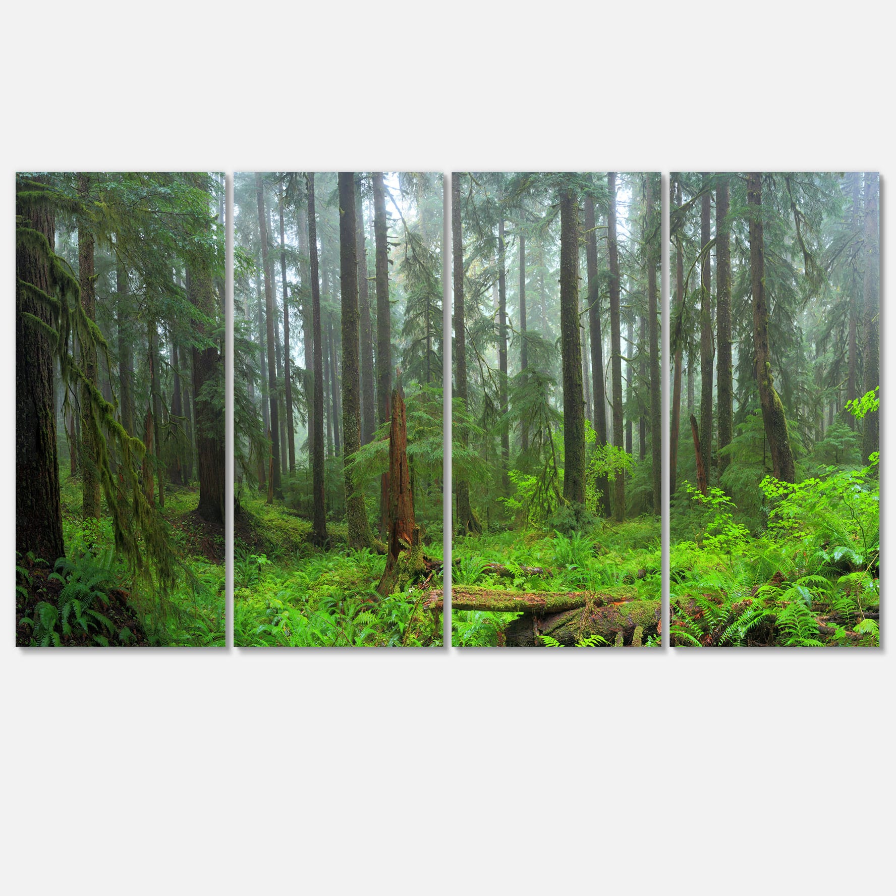 Designart - Hoh Rain Forest - Landscape Photography Canvas Art Print