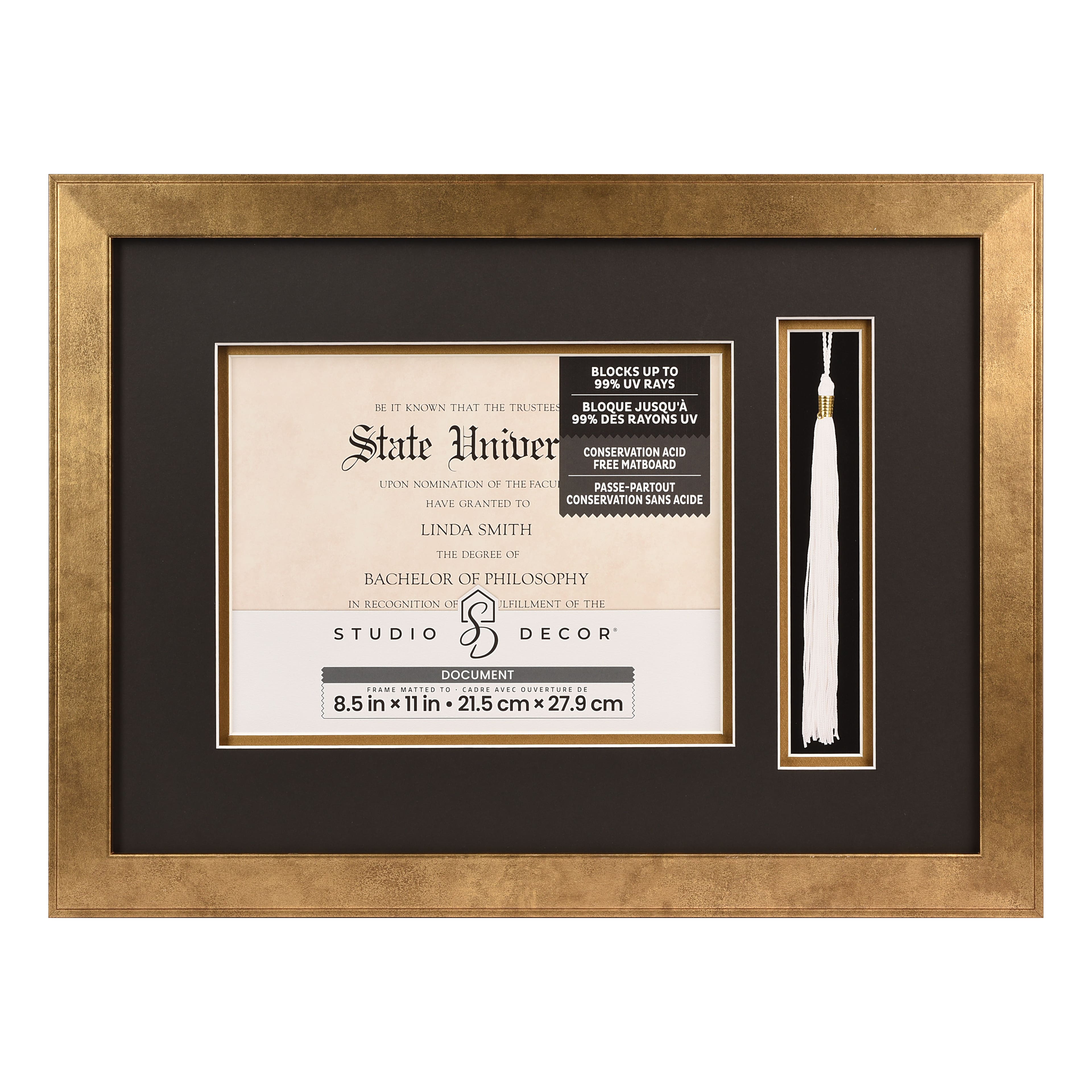 2 Opening Gold 8.5&#x22; x 11&#x22; Document &#x26; Tassel Frame with Double Mat by Studio D&#xE9;cor&#xAE;
