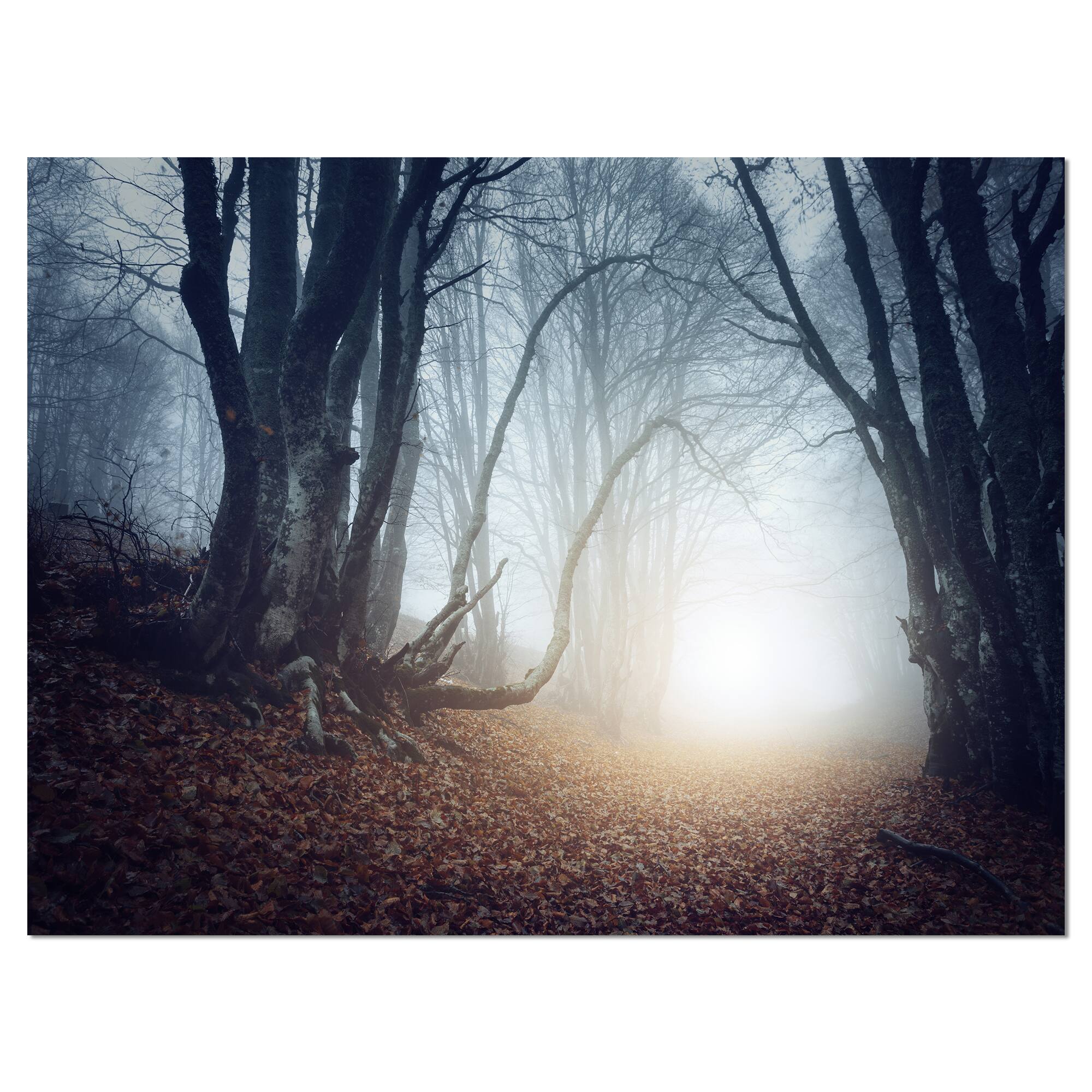 Designart - Magical Trees in Mysterious Forest - Modern Forest Canvas Wall Art