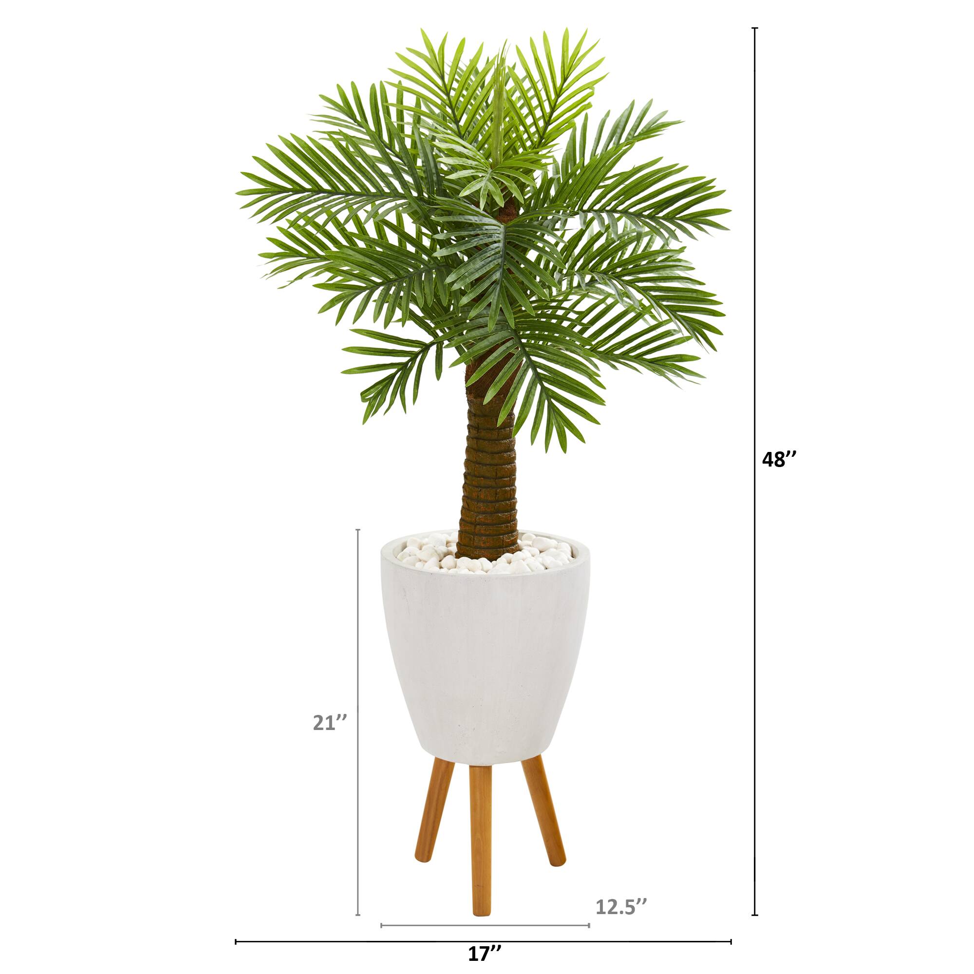4ft. Robellini Palm Tree in White Planter with Stand