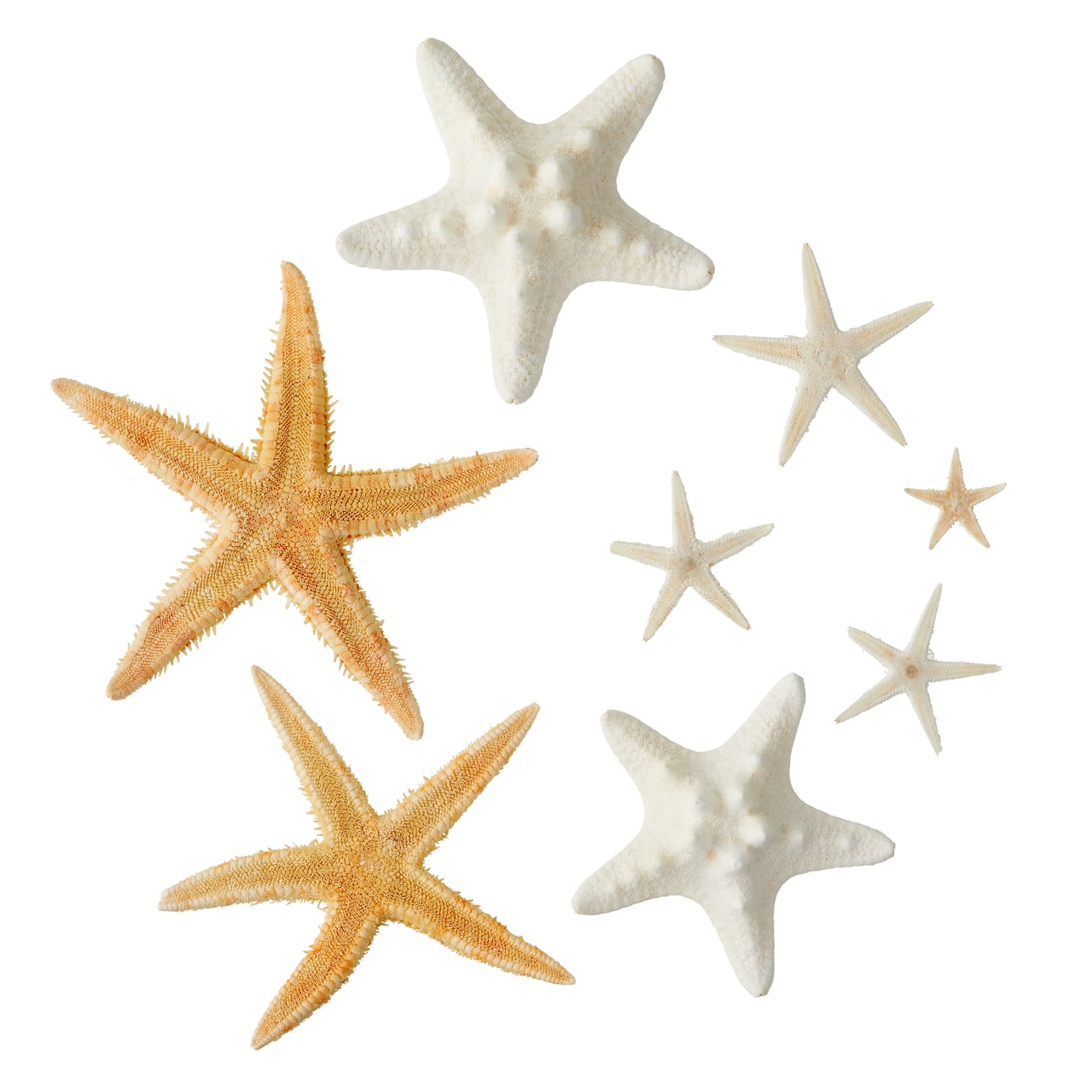U.S. Shell Starfish Mix | Michaels