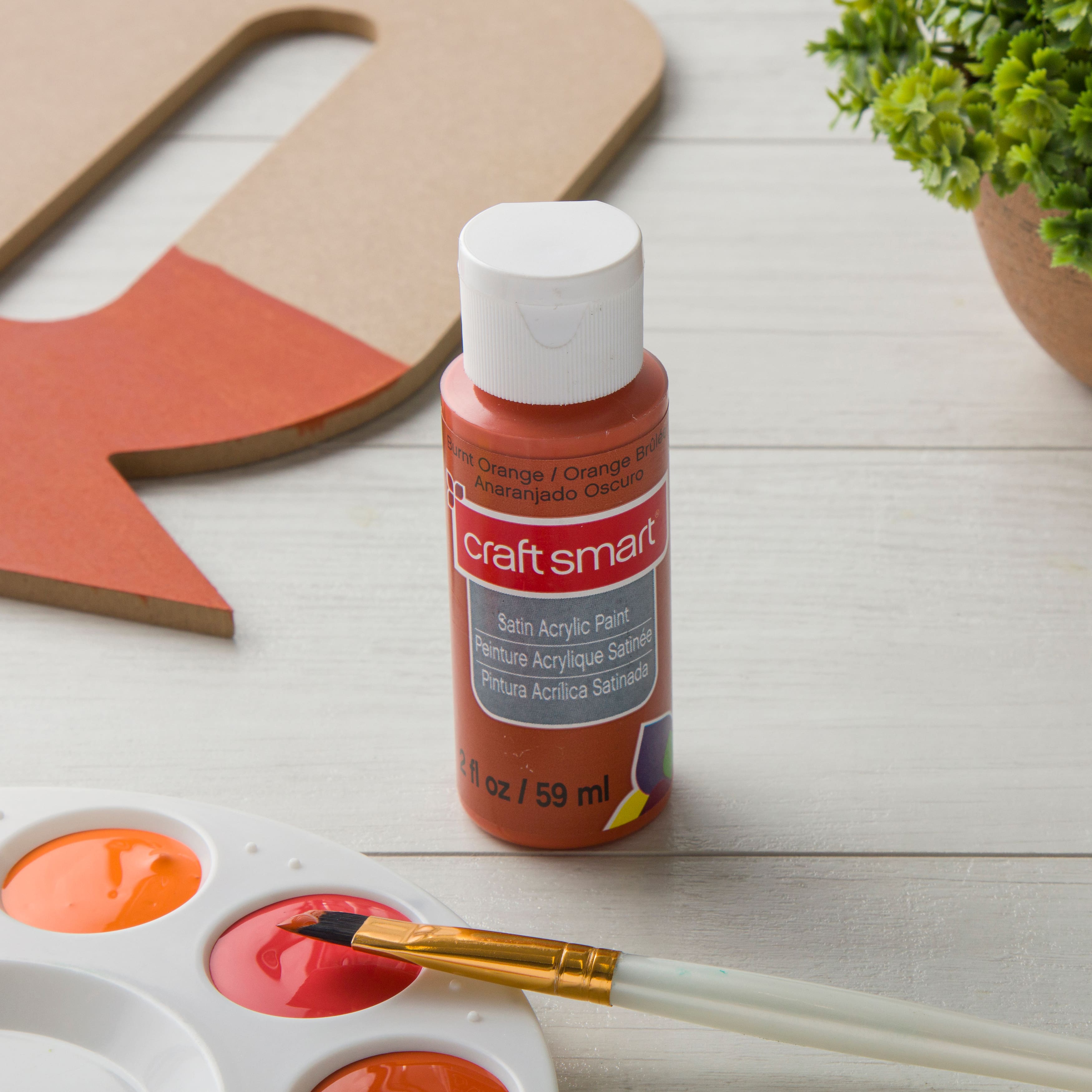 12 Pack: Satin Acrylic Paint by Craft Smart®, 2oz.