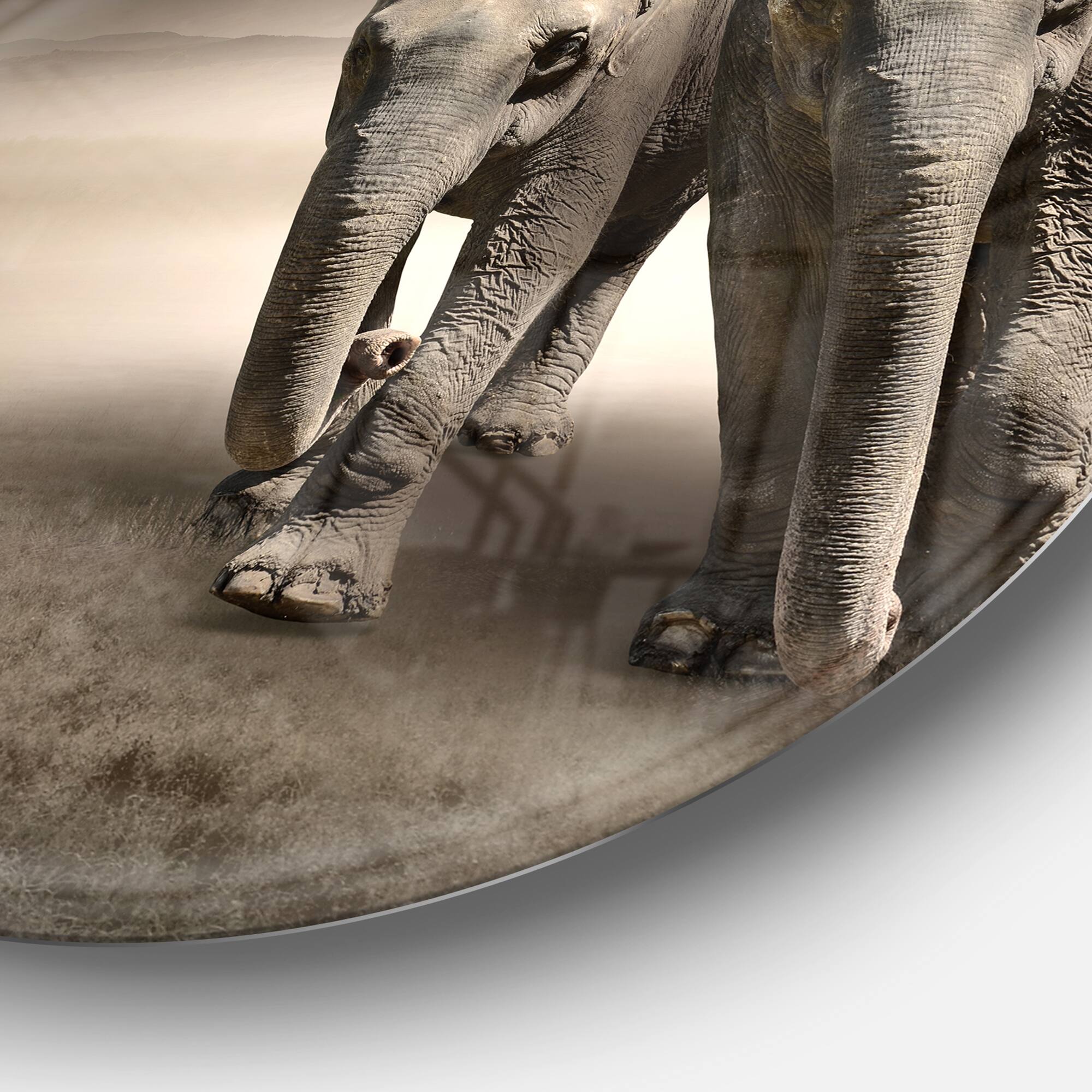 Designart - Elephant Pair in Motion' Ultra Glossy Animal Oversized Metal Circle Wall Art