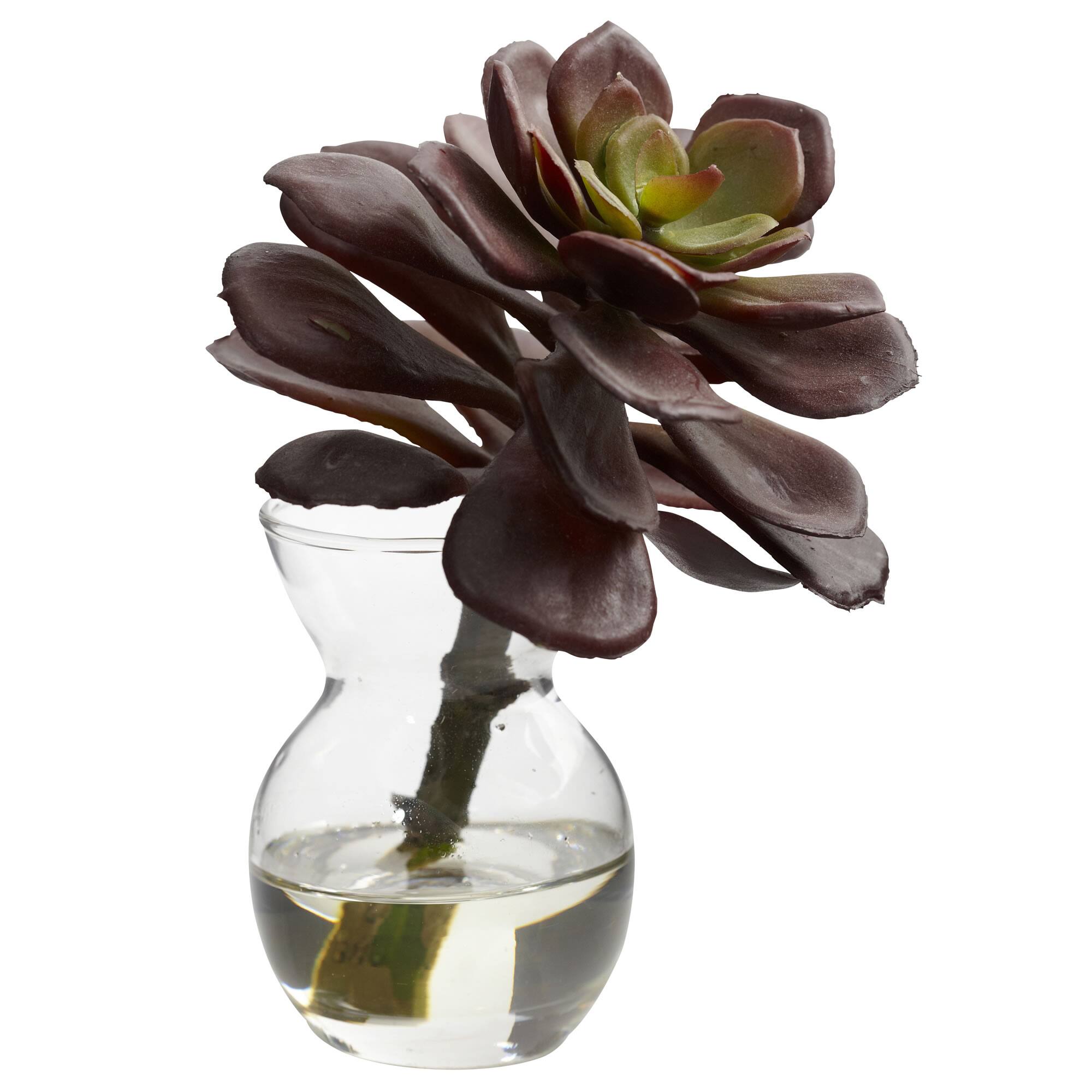 Succulent Arrangements in Vases 3ct.