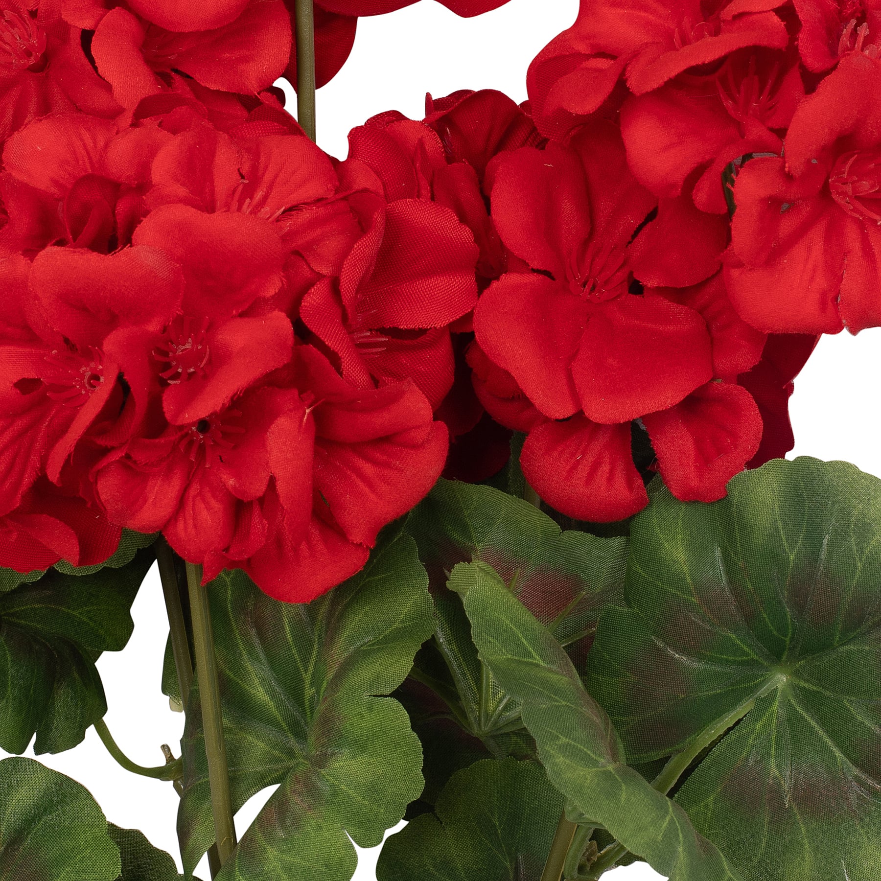 Red Geranium Bush by Ashland&#xAE;