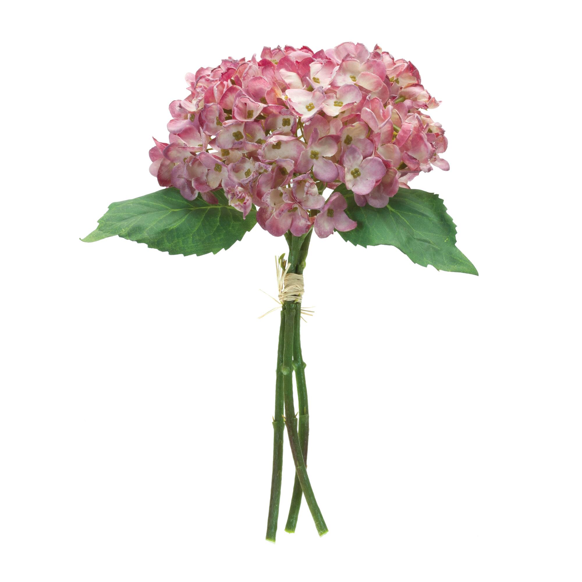 Hydrangea Bundle, 6ct.