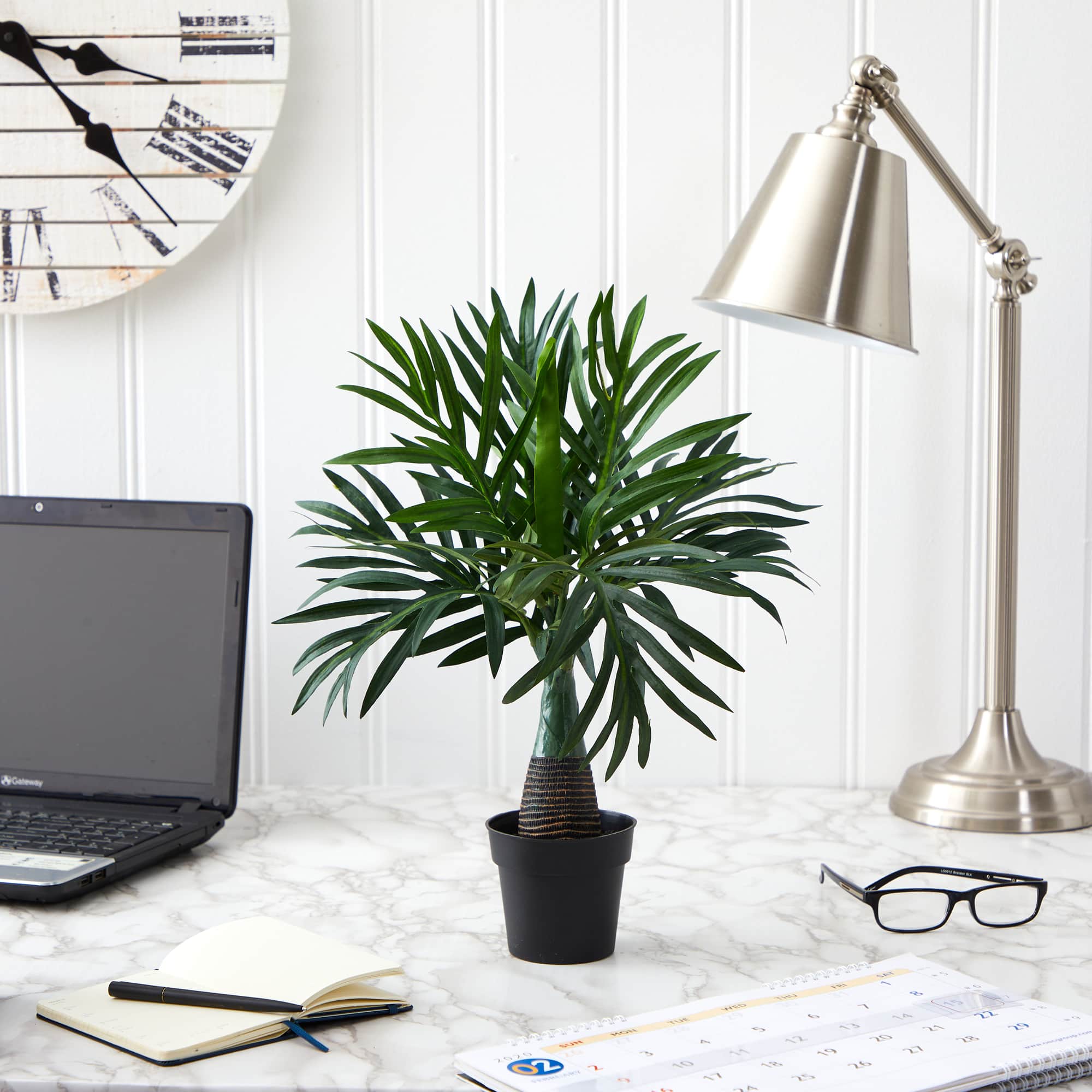 15.5&#x22; Potted Mini Areca Palm Plant