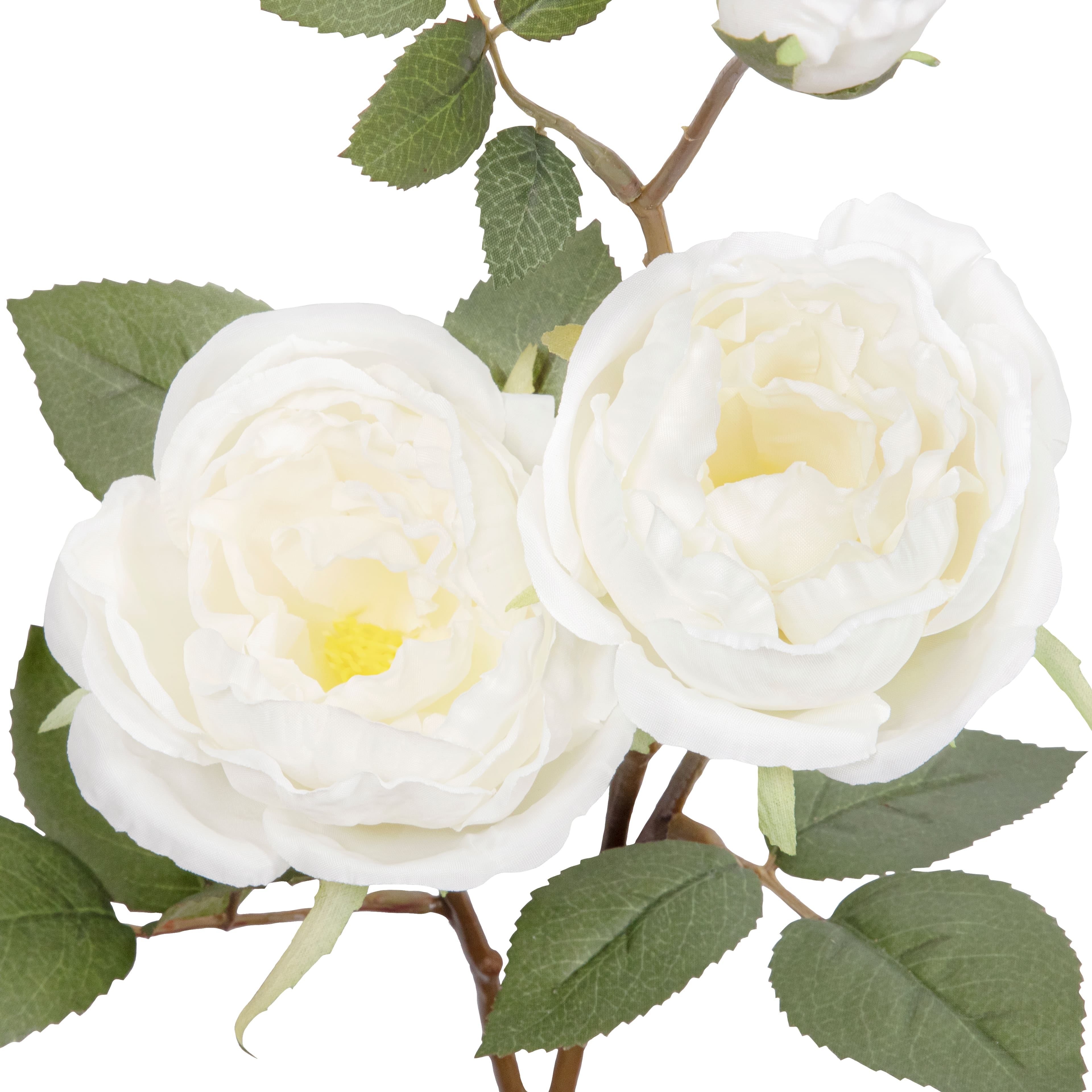29&#x22; White Rose Stem by Ashland&#xAE;