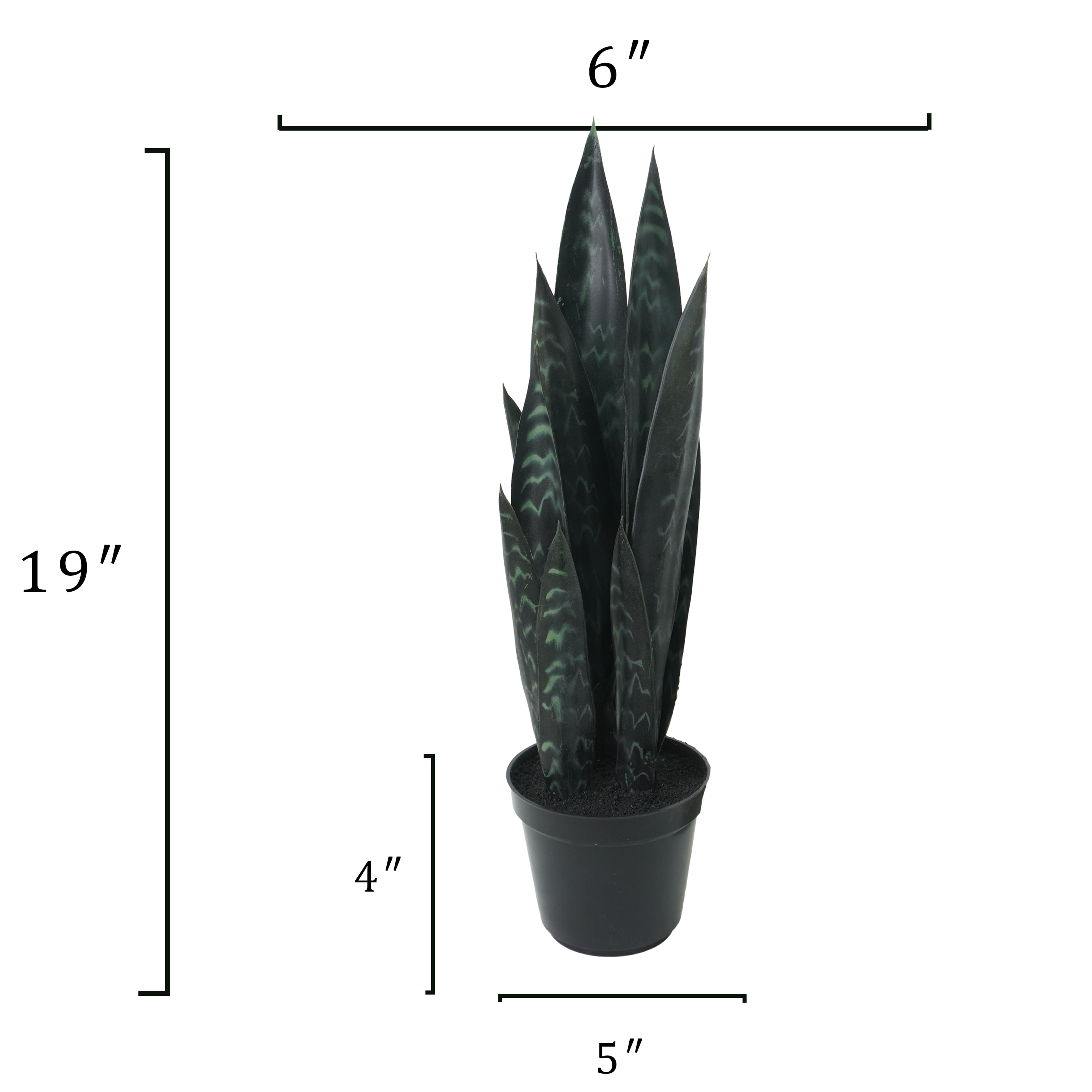 19&#x22; Potted Snake Plant by Ashland&#xAE;