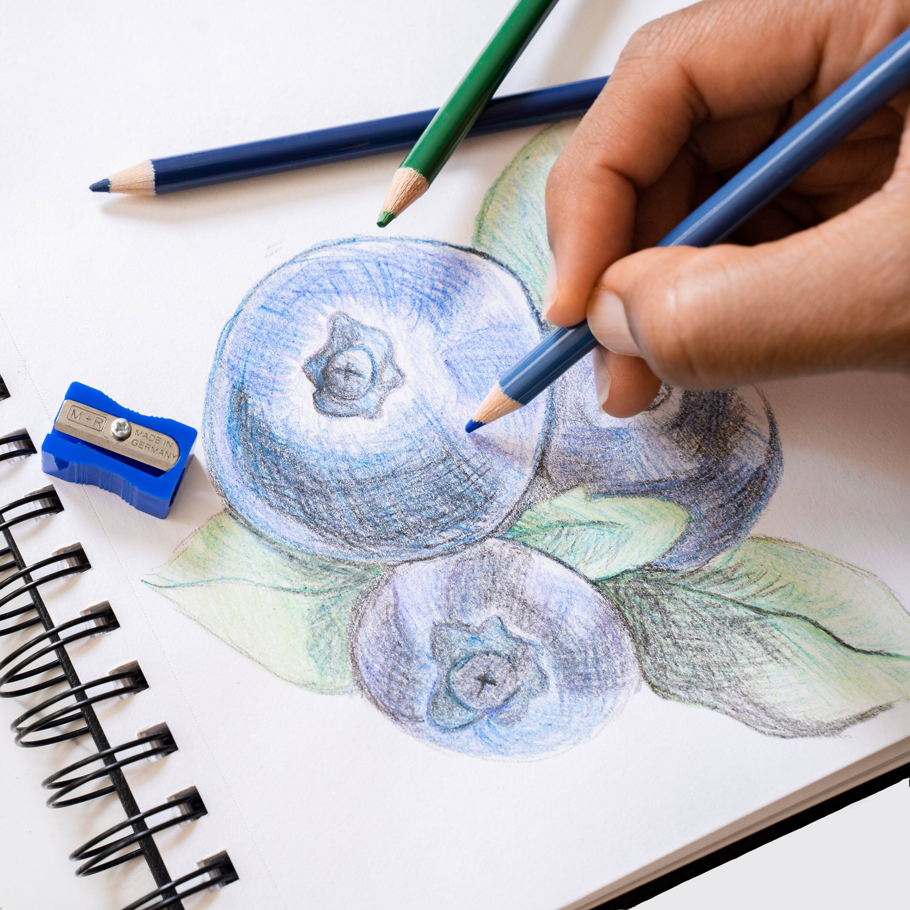 Art Alternatives Spiral Bound Sketch Book
