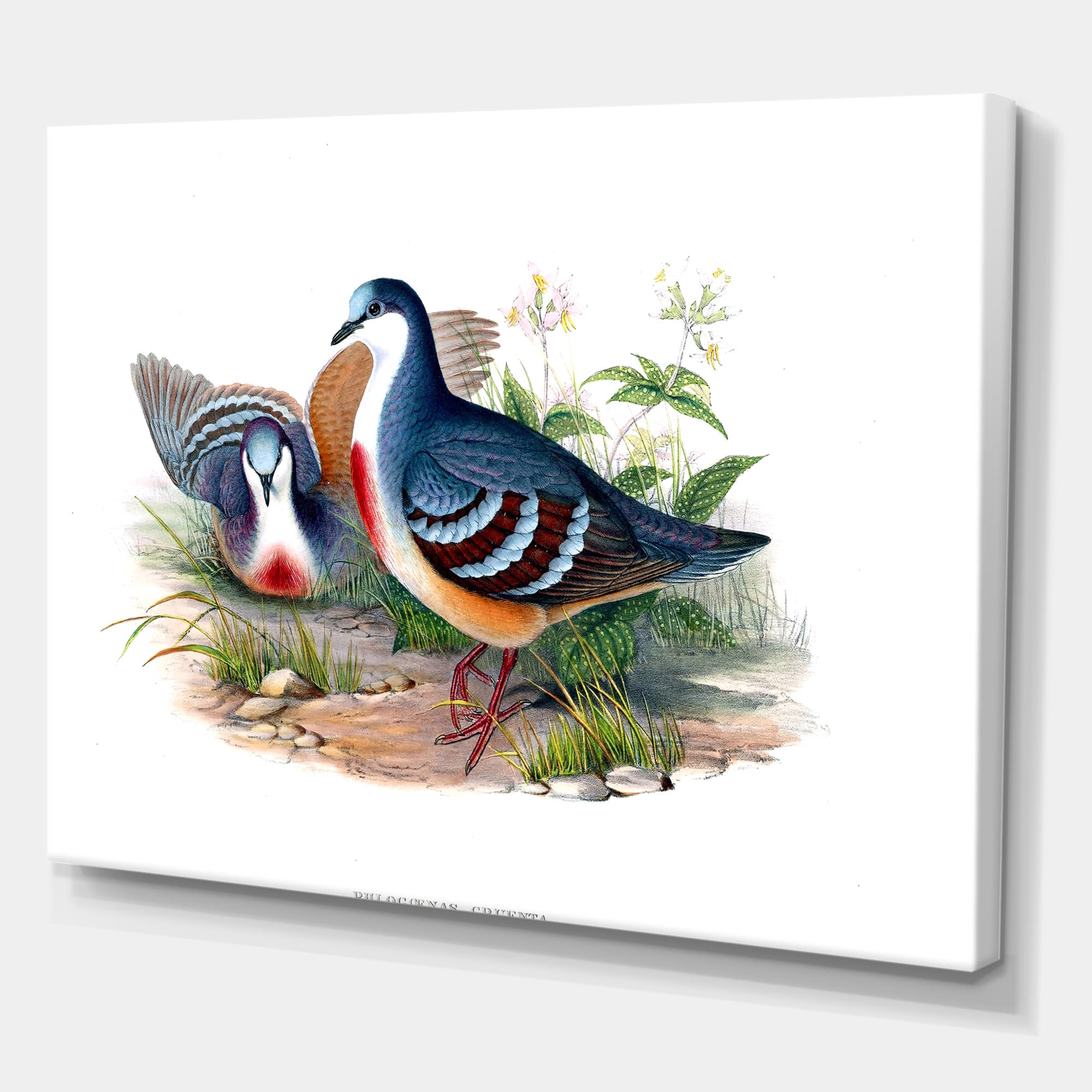 Designart - Vintage Birds In The Wild IV - Traditional Canvas Wall Art Print