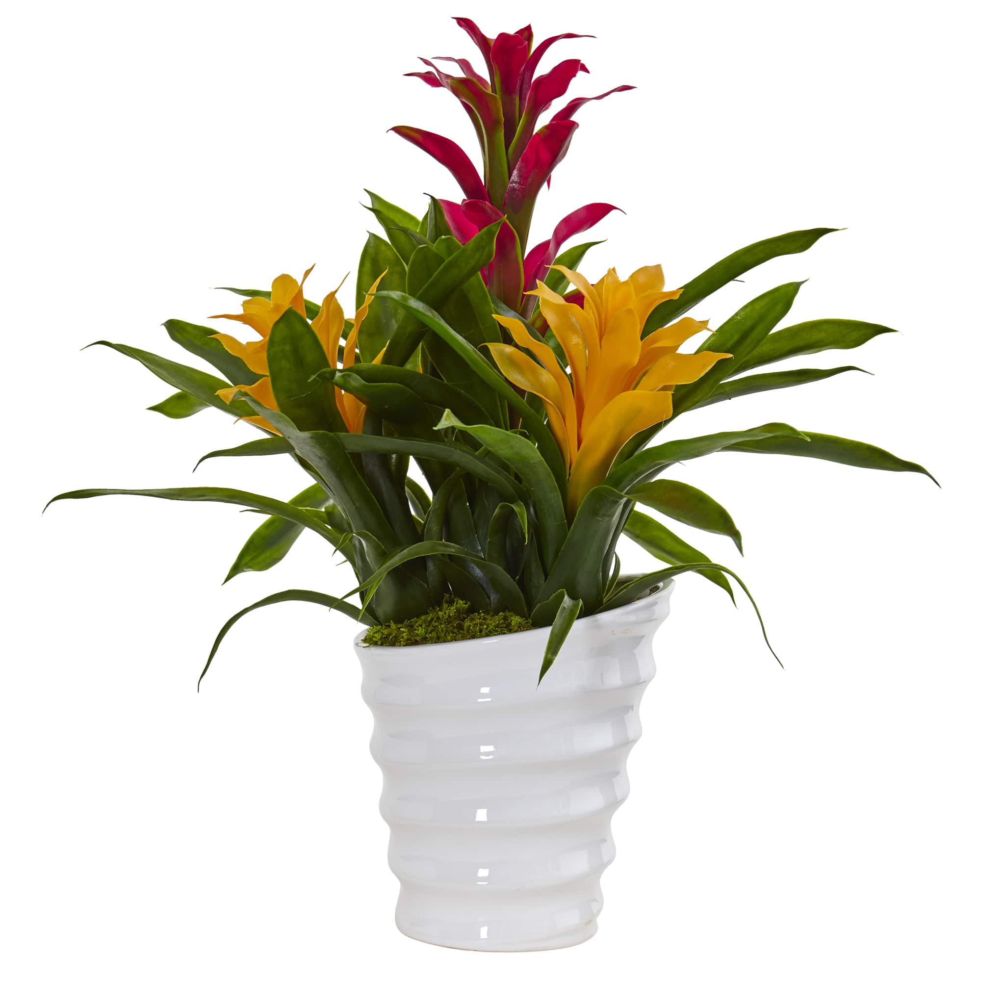 17" Tropical Bromeliad Plant in White Swirl Vase