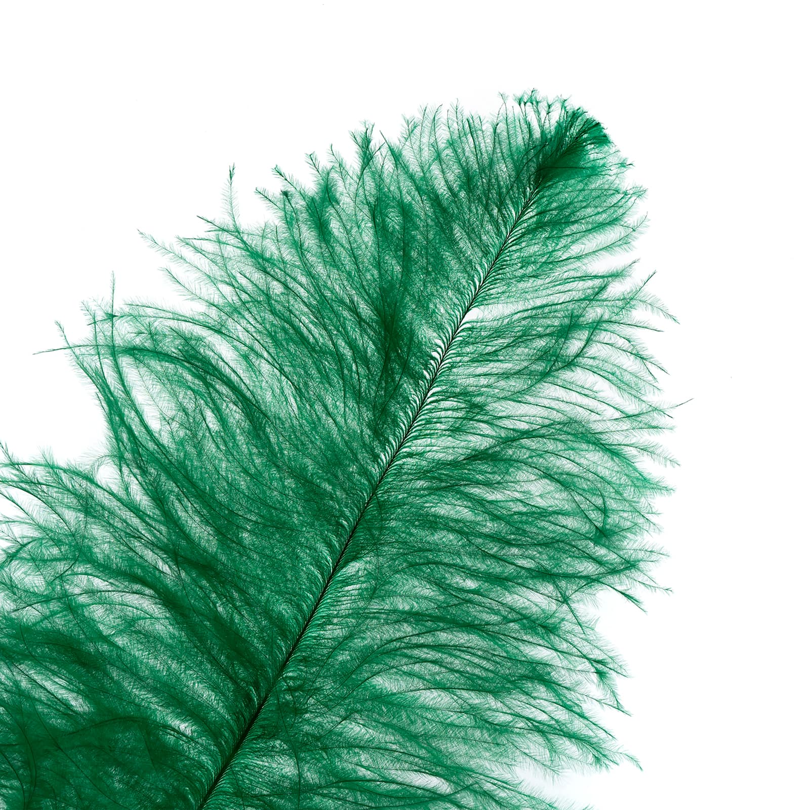 John Bead 11&#x22;-13&#x22; Ostrich Drab Feather