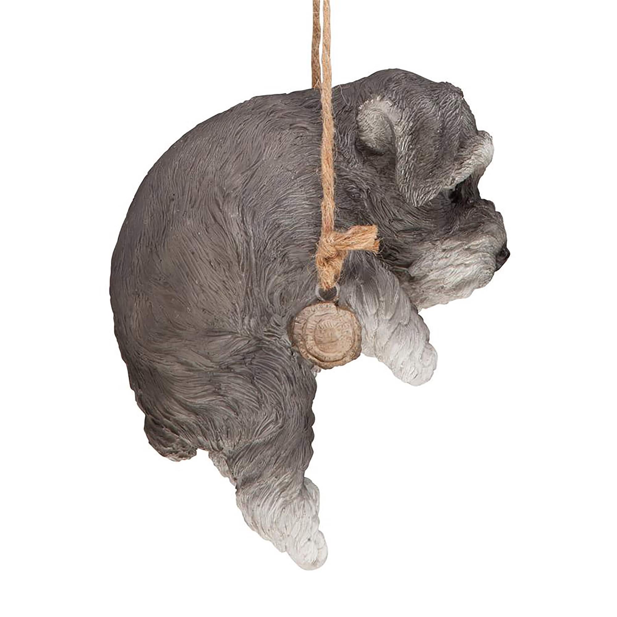Design Toscano 8&#x22; Mini Schnauzer Puppy on a Perch Hanging Dog Sculpture
