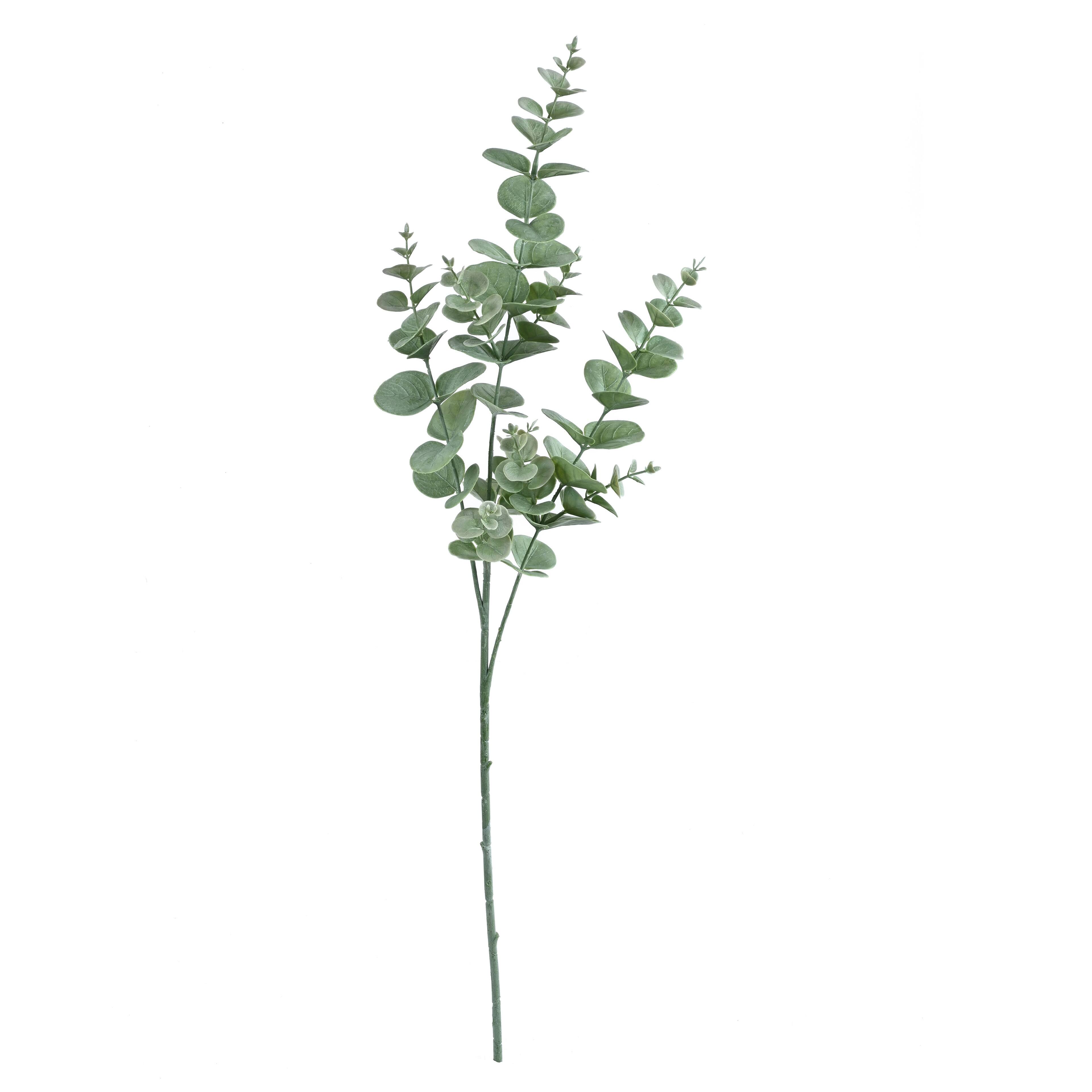 32" Eucalyptus Stem by Ashland®