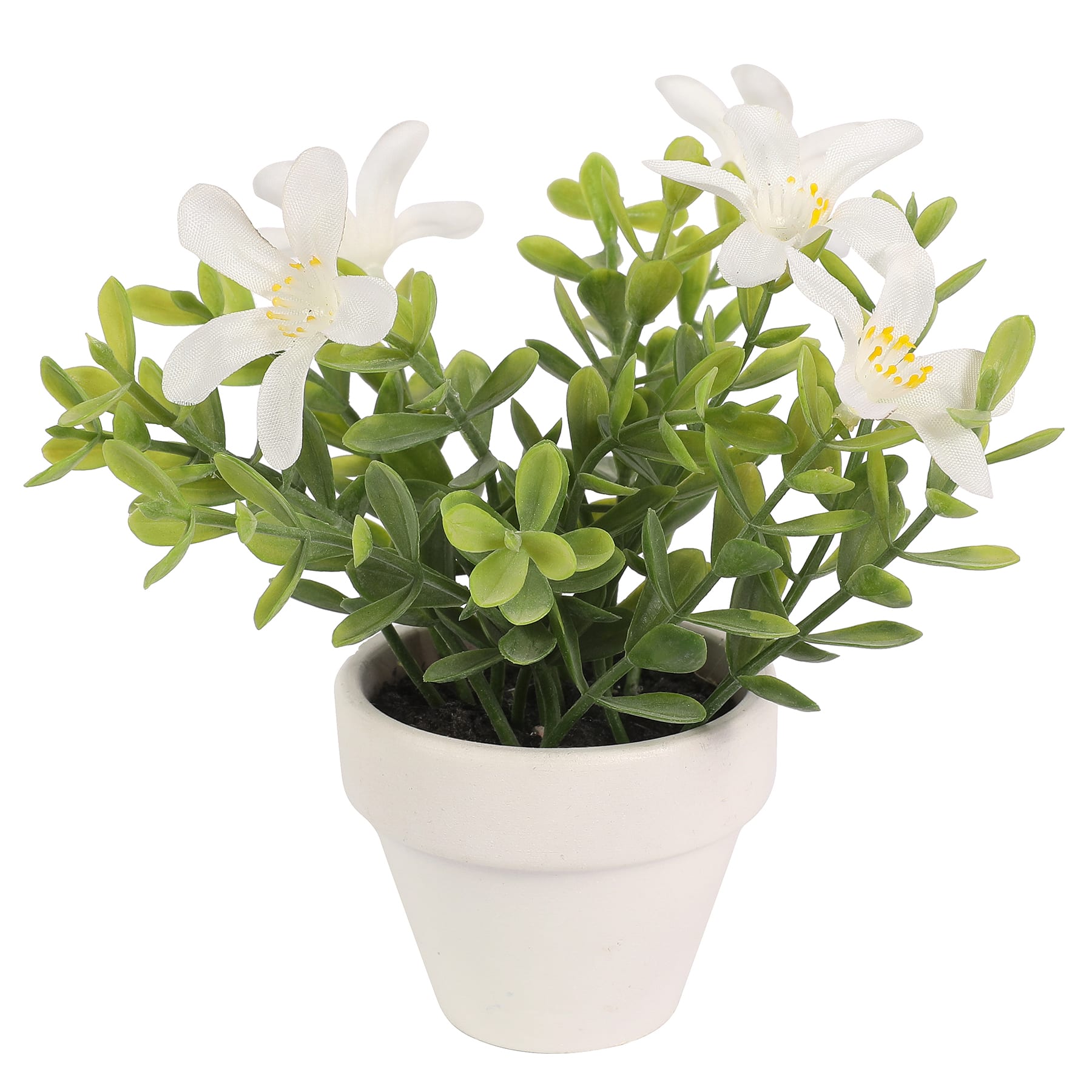 Assorted Micro Premade Flowering Plant by Ashland&#xAE;