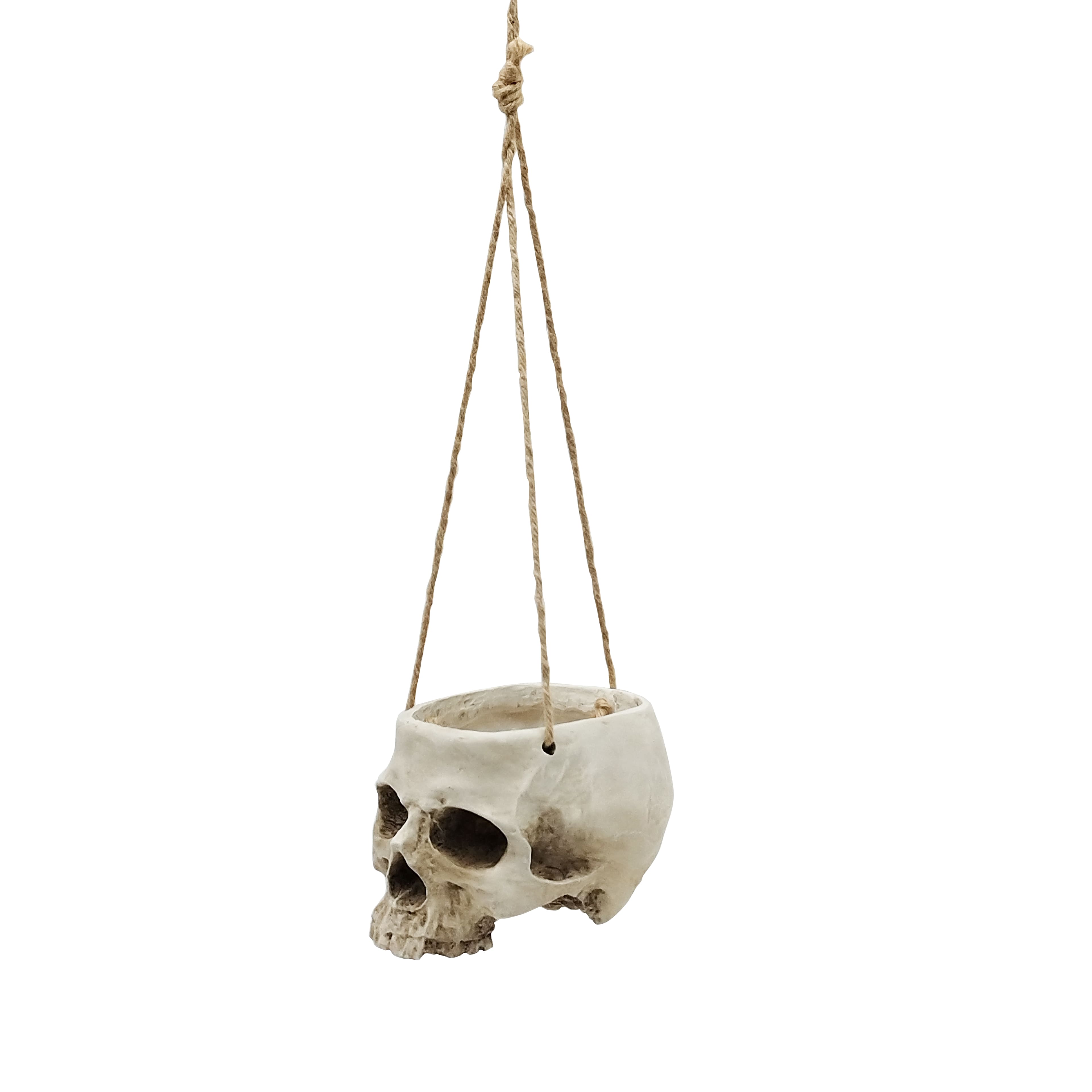 Large Skull Hanging Planter by Ashland&#xAE;