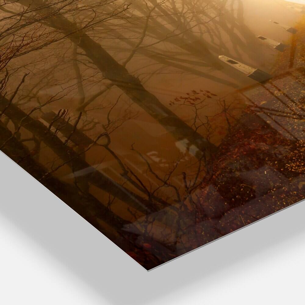 Designart Path To Sunlight In Autumn Forest Rectangular Wall Clock