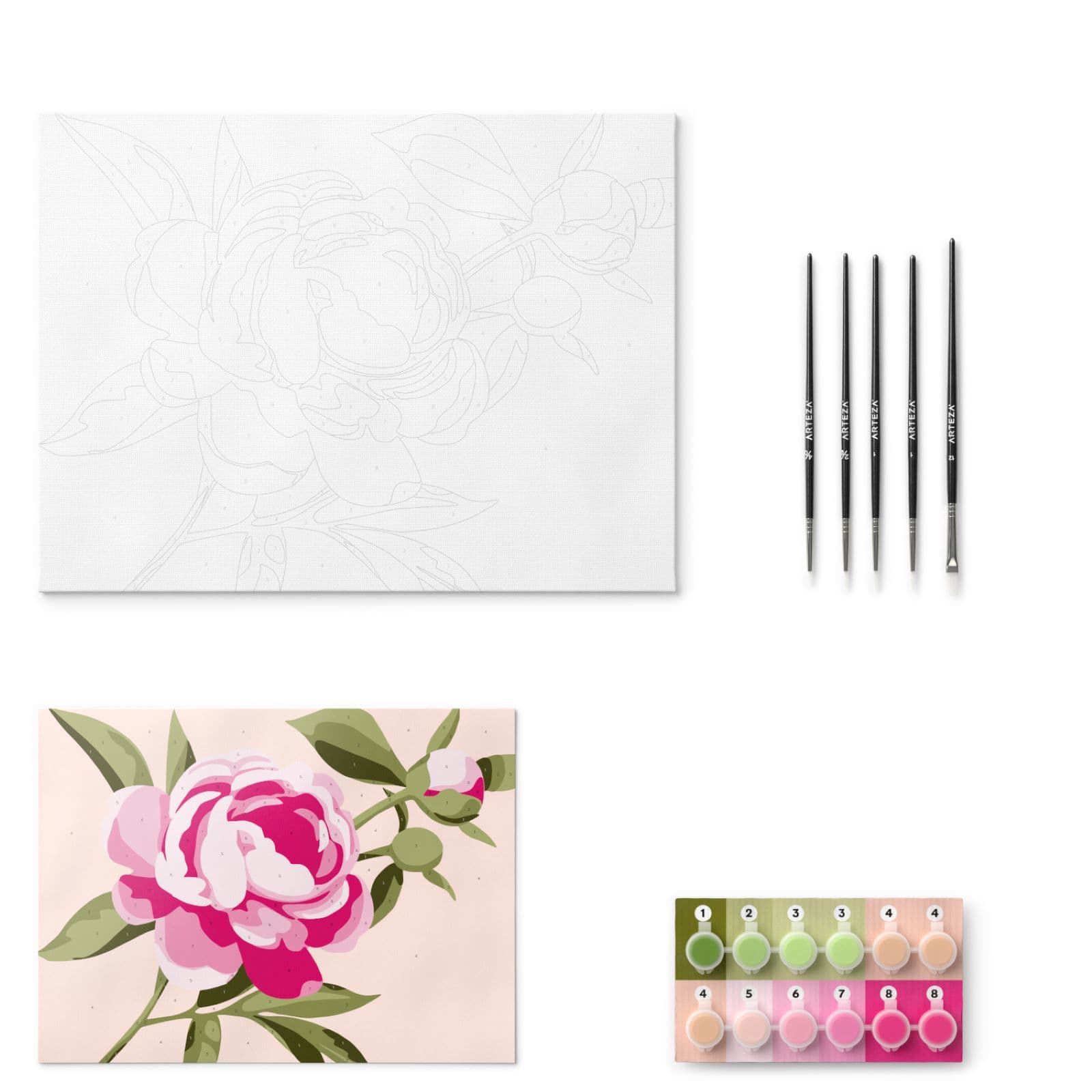 Arteza Collection Floral Paint by Numbers Kit, Unisex Adult Beginner Paint  Set 