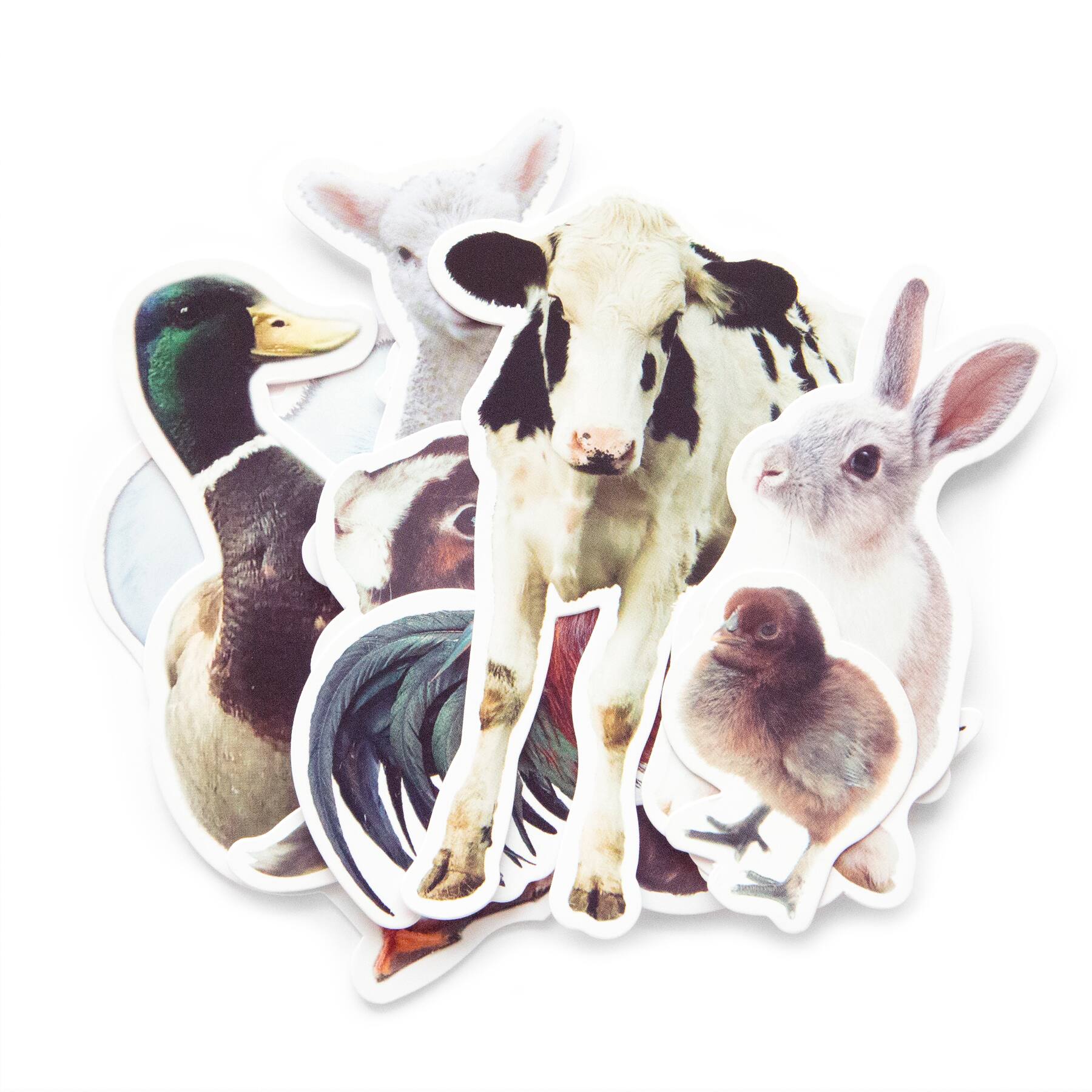 12 Pack: Barnyard Animals Die Cut Stickers by Recollections™