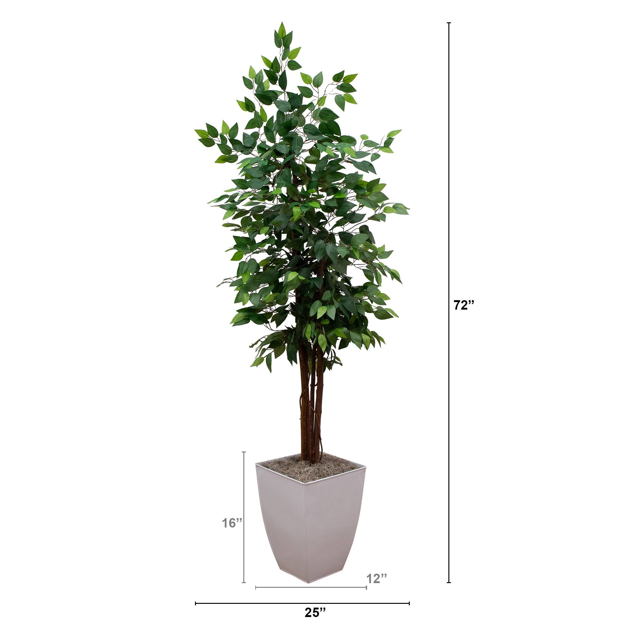 6ft. Artificial Double Stalk Ficus Tree in White Metal Planter