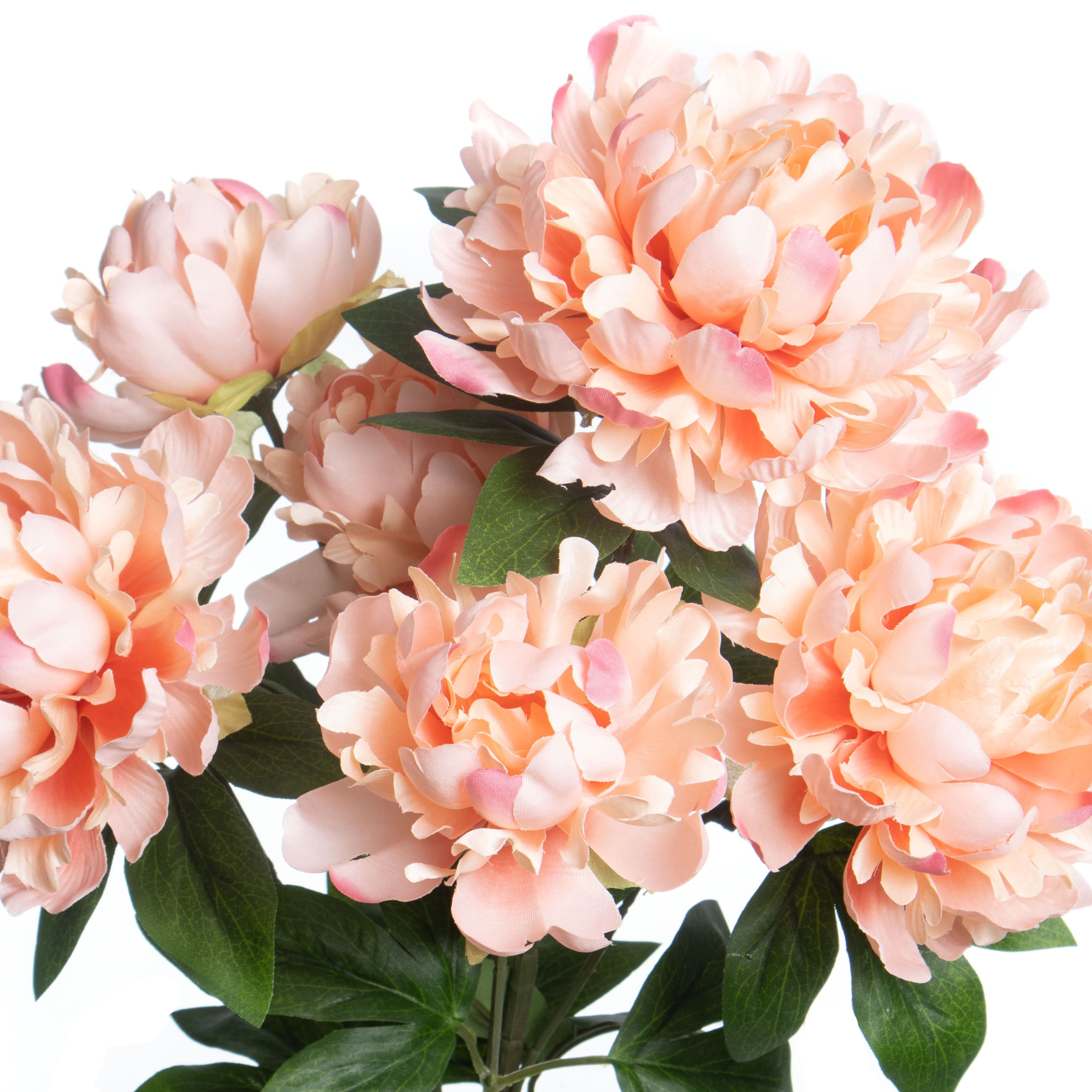 21&#x22; Peach Peony Deluxe Bush by Ashland&#xAE;