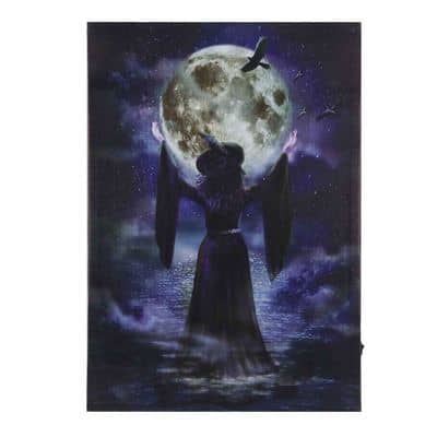 17" x 23" Water Witch LED Wall Décor by Ashland® | Michaels