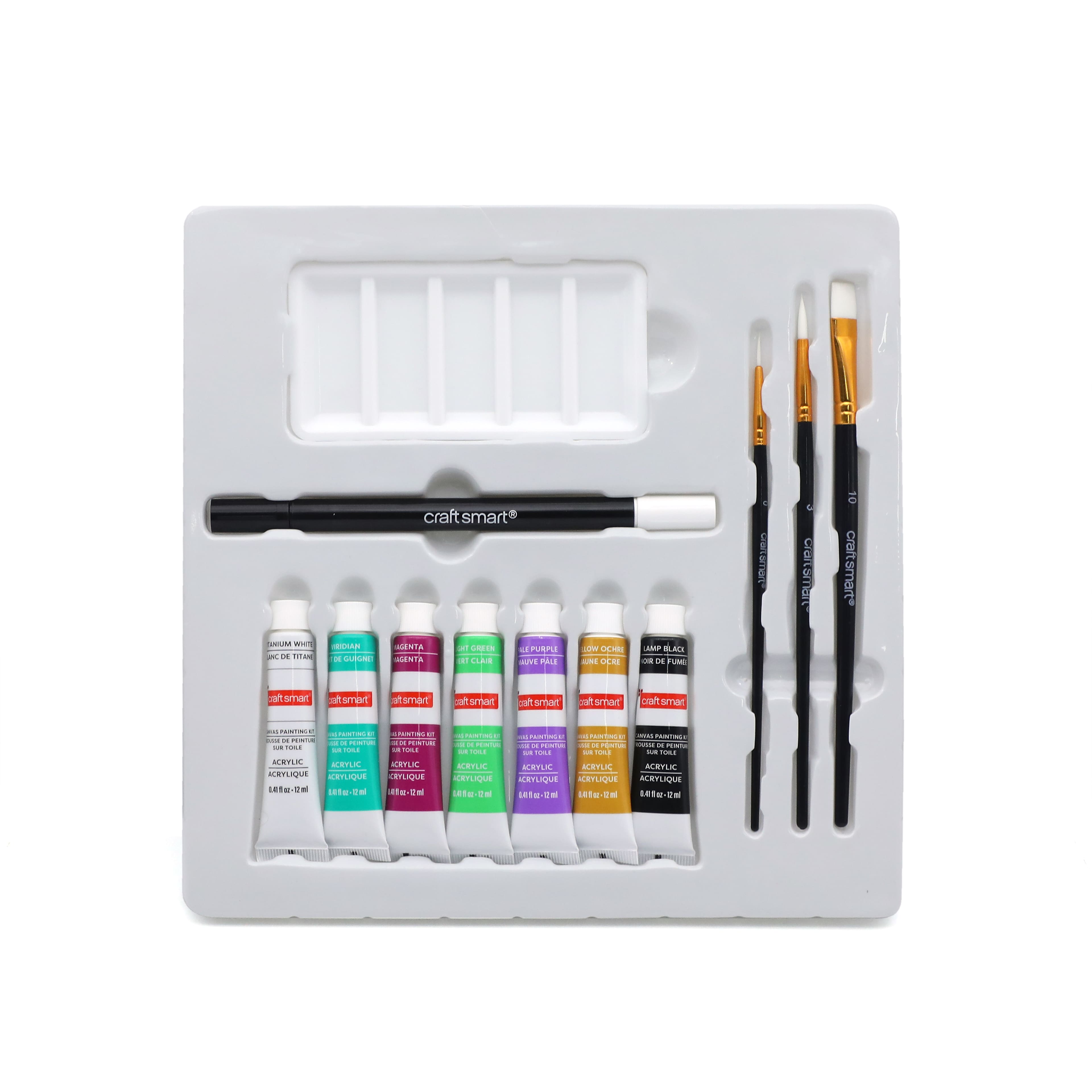 11" x 11" Skull with Snake Canvas Painting Kit by Craft Smart®