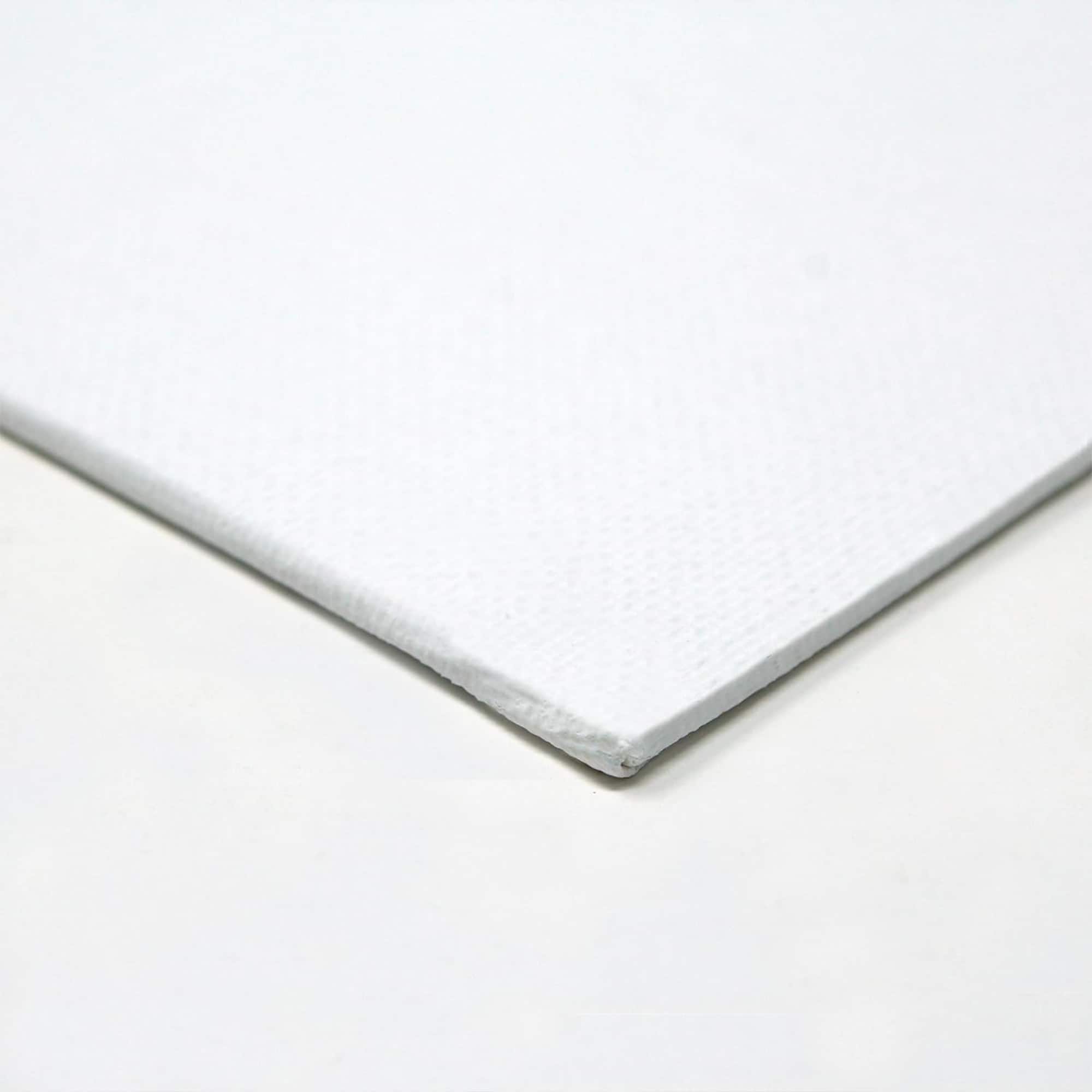 ArtSkills 2 Pack 8" x 10" Canvas Panel