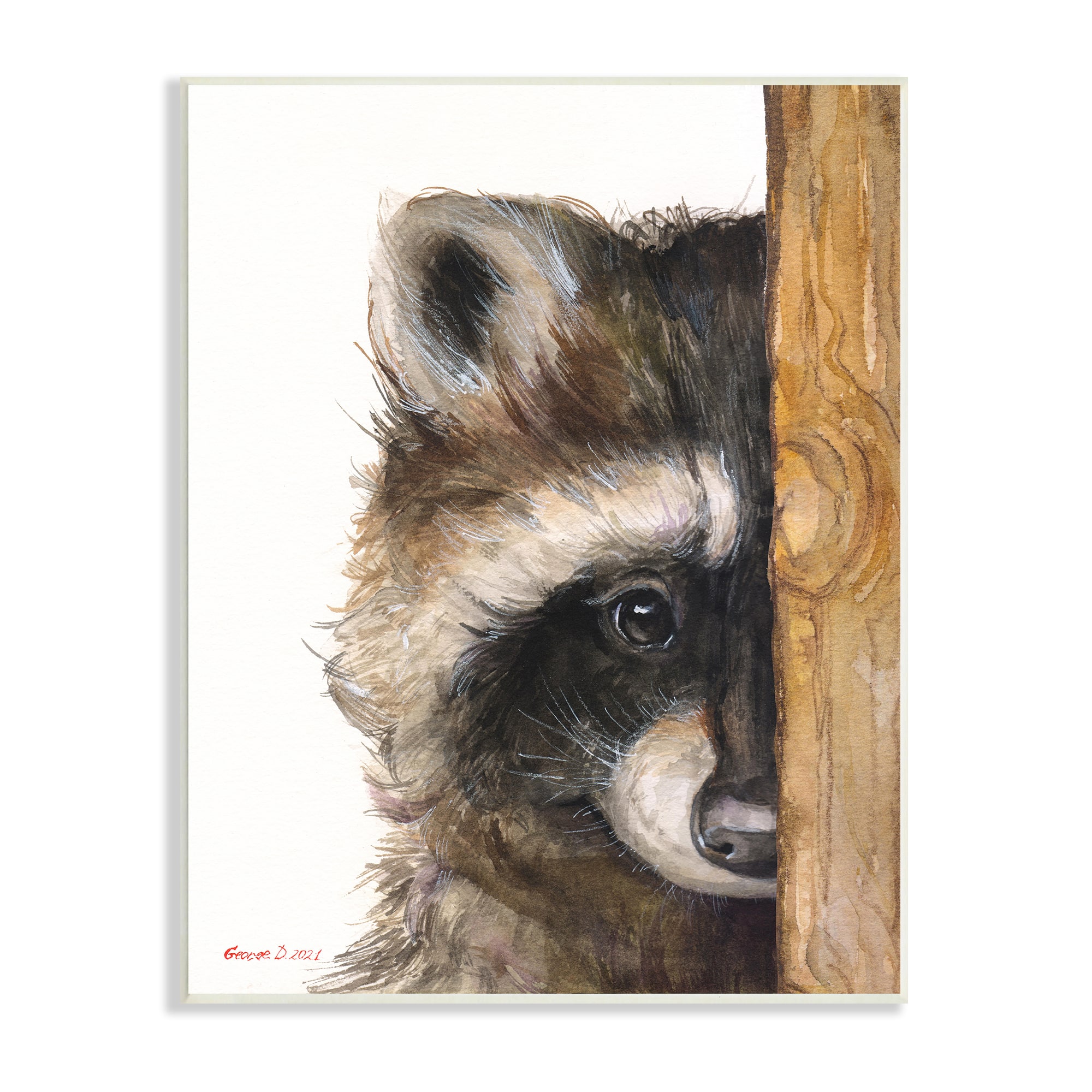 Stupell Industries Raccoon with Wood Fence Illustration Wall Plaque Art