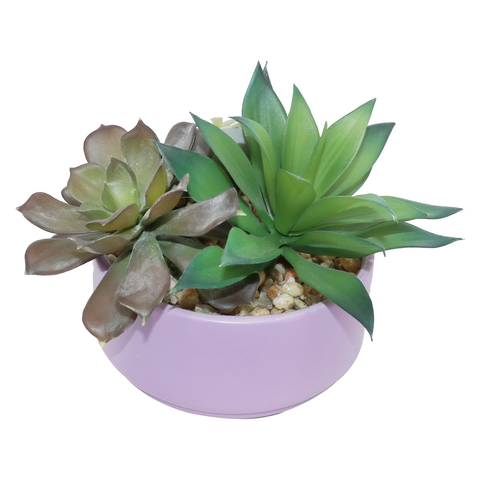 7.5&#x22; Mixed Succulents in Lavender Ceramic Pot by Ashland&#xAE;