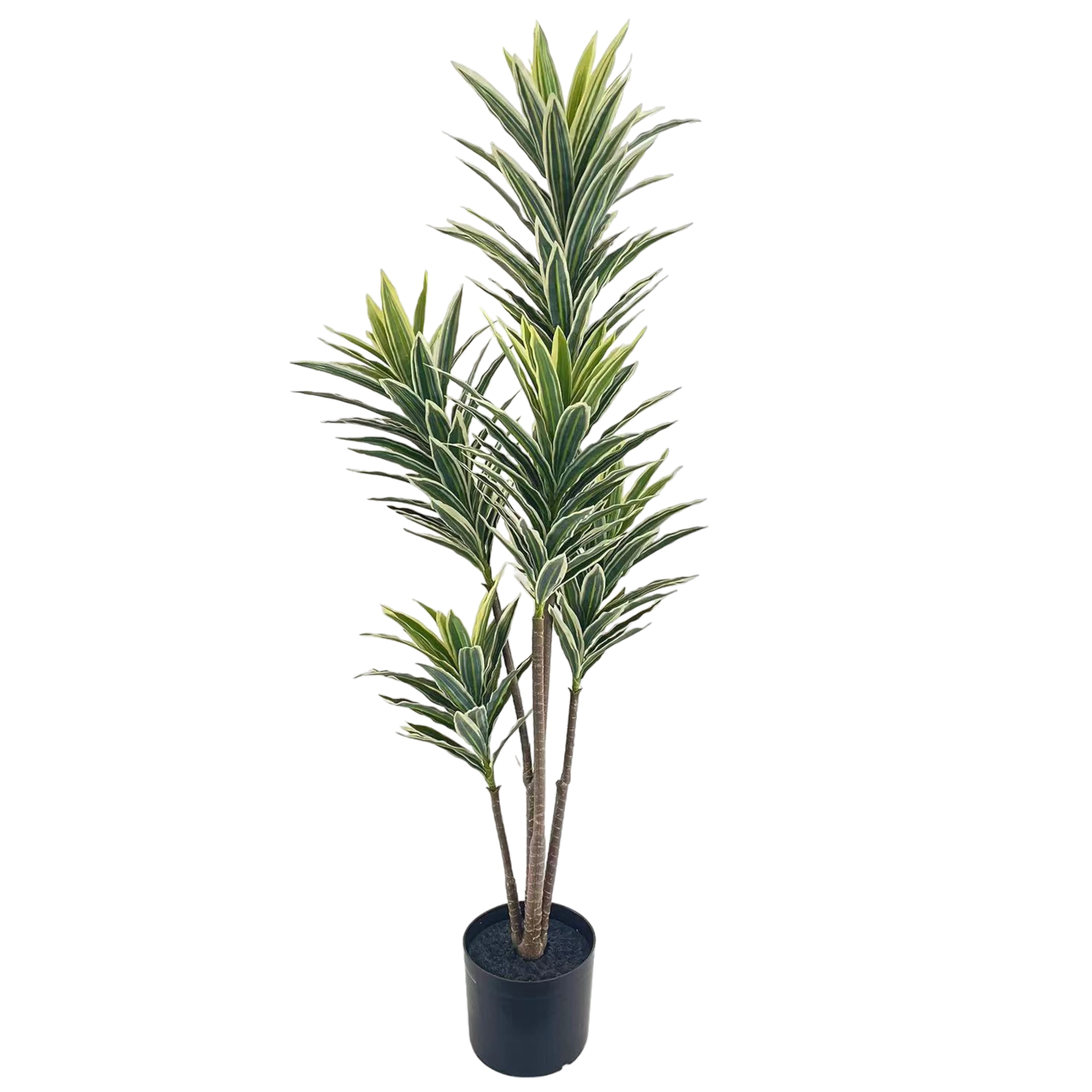 3.5ft. Dracaena Tree by Ashland®