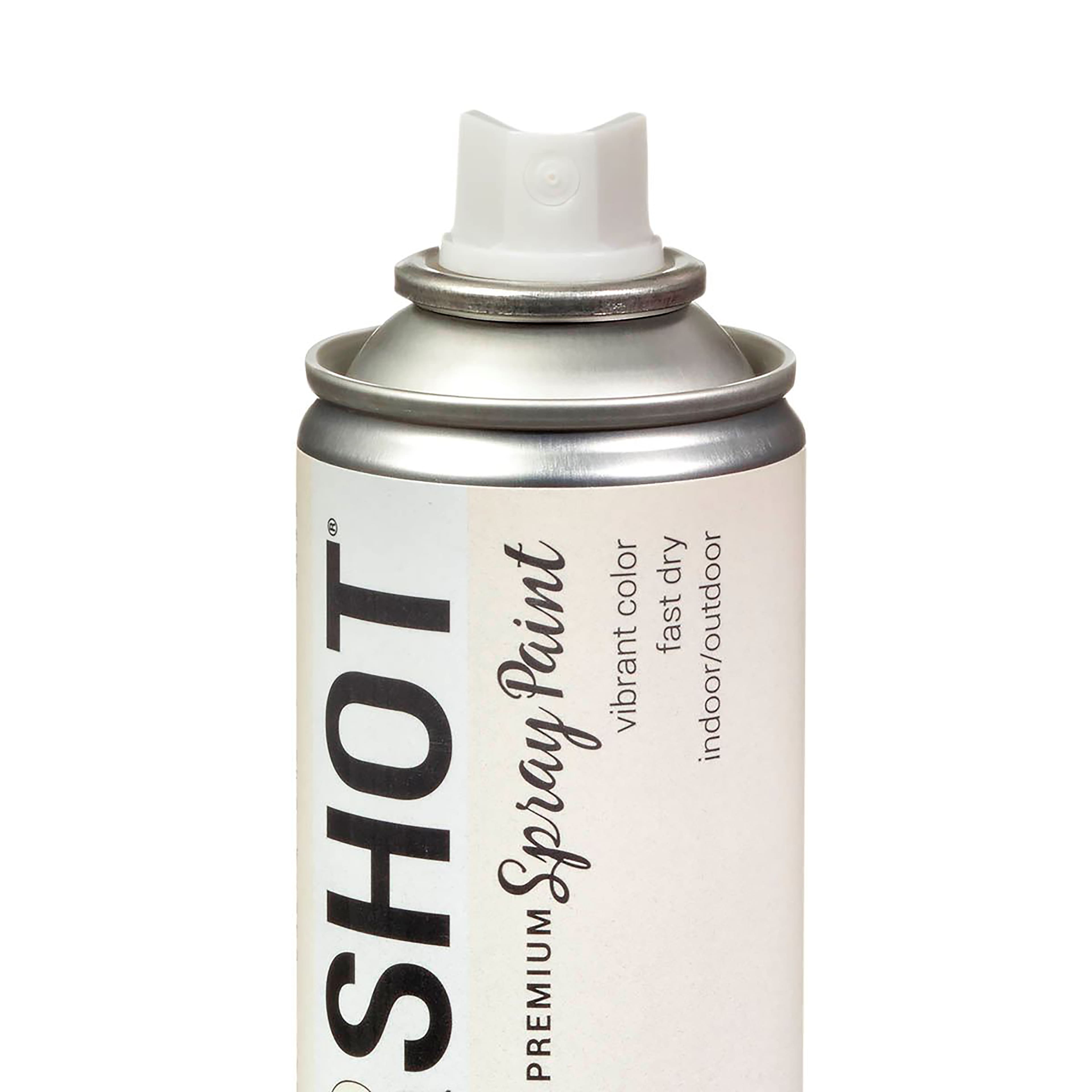 COLORSHOT® Premium Metallic Spray Paint