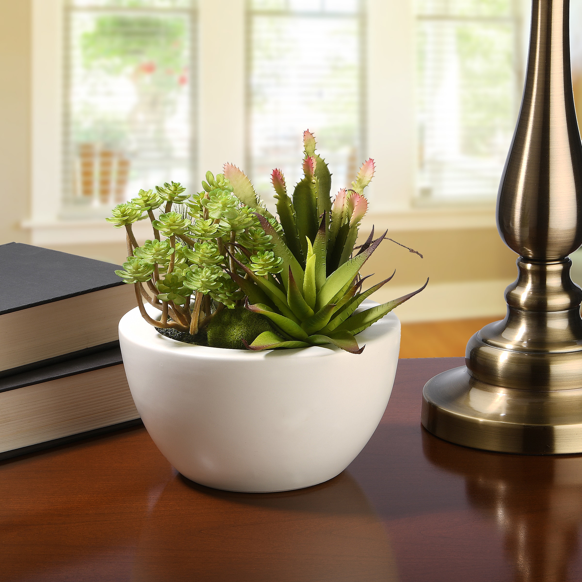 7.5&#x22; Succulent Plants in White Planter