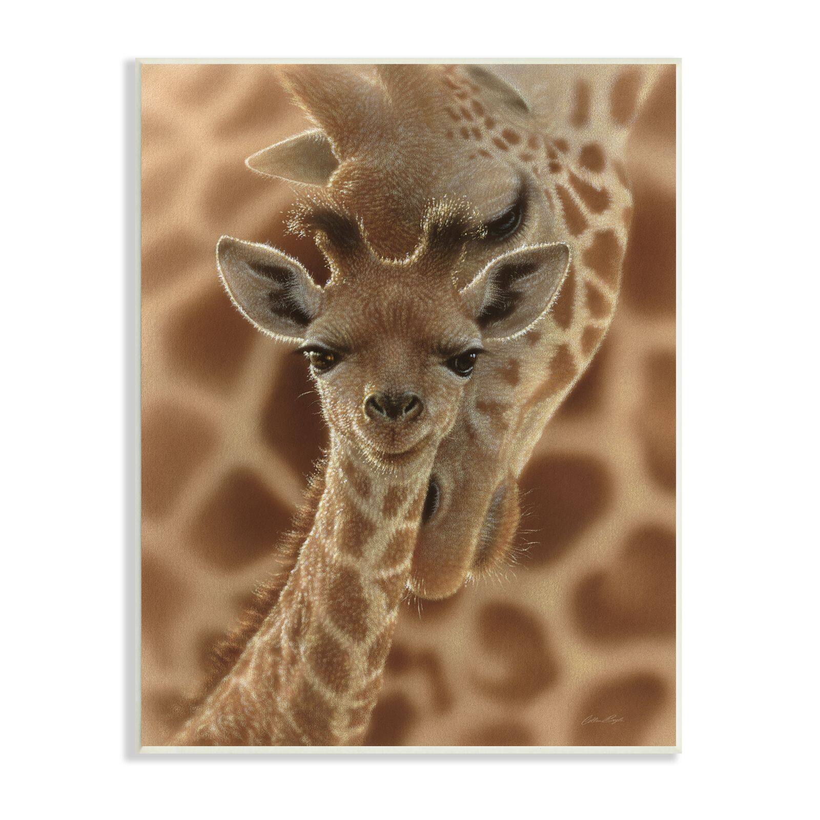 Stupell Industries Baby Giraffe with Mother Patterned Safari Animal Hug,13 x 19