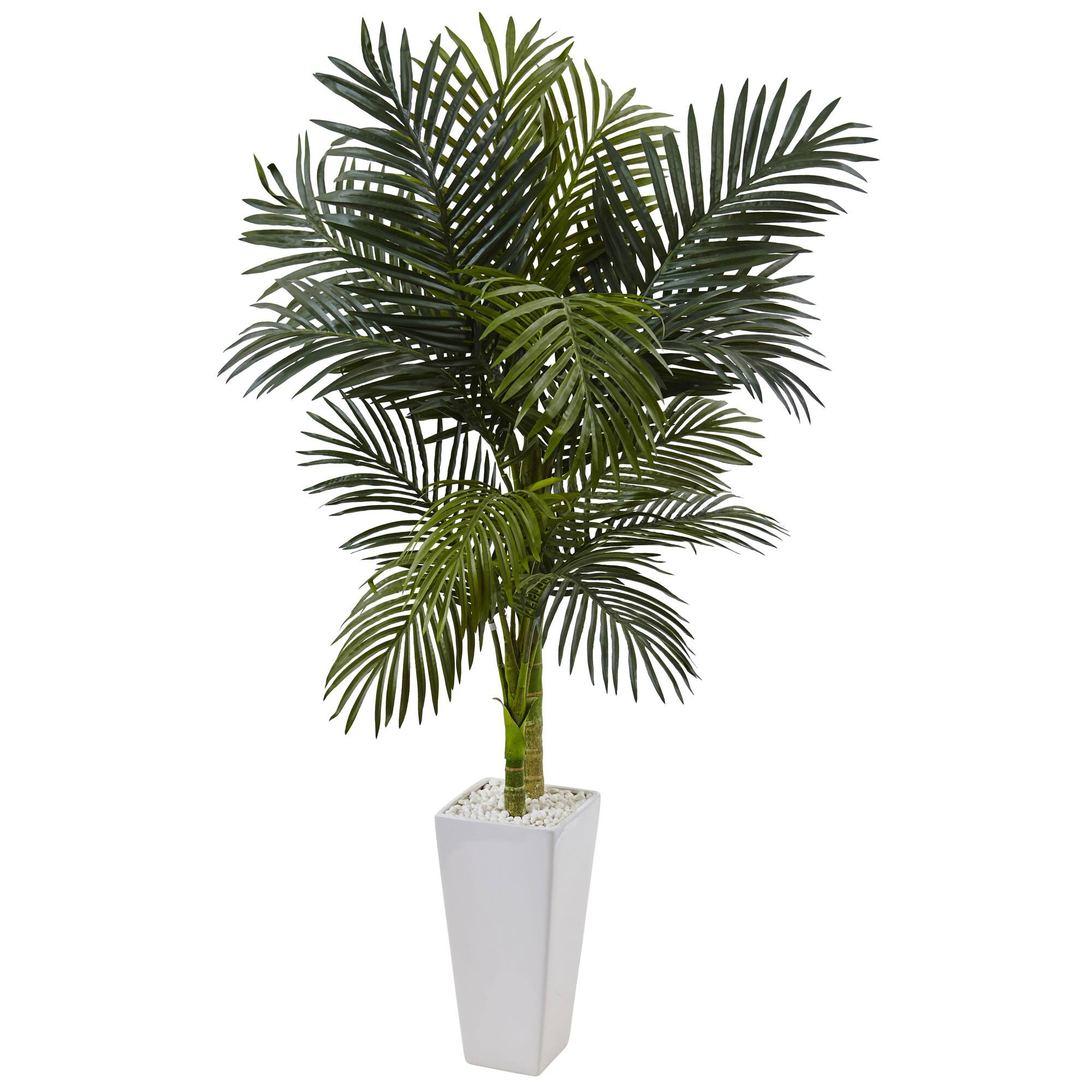 5ft. Potted Golden Cane Palm Tree in Decorative Planter