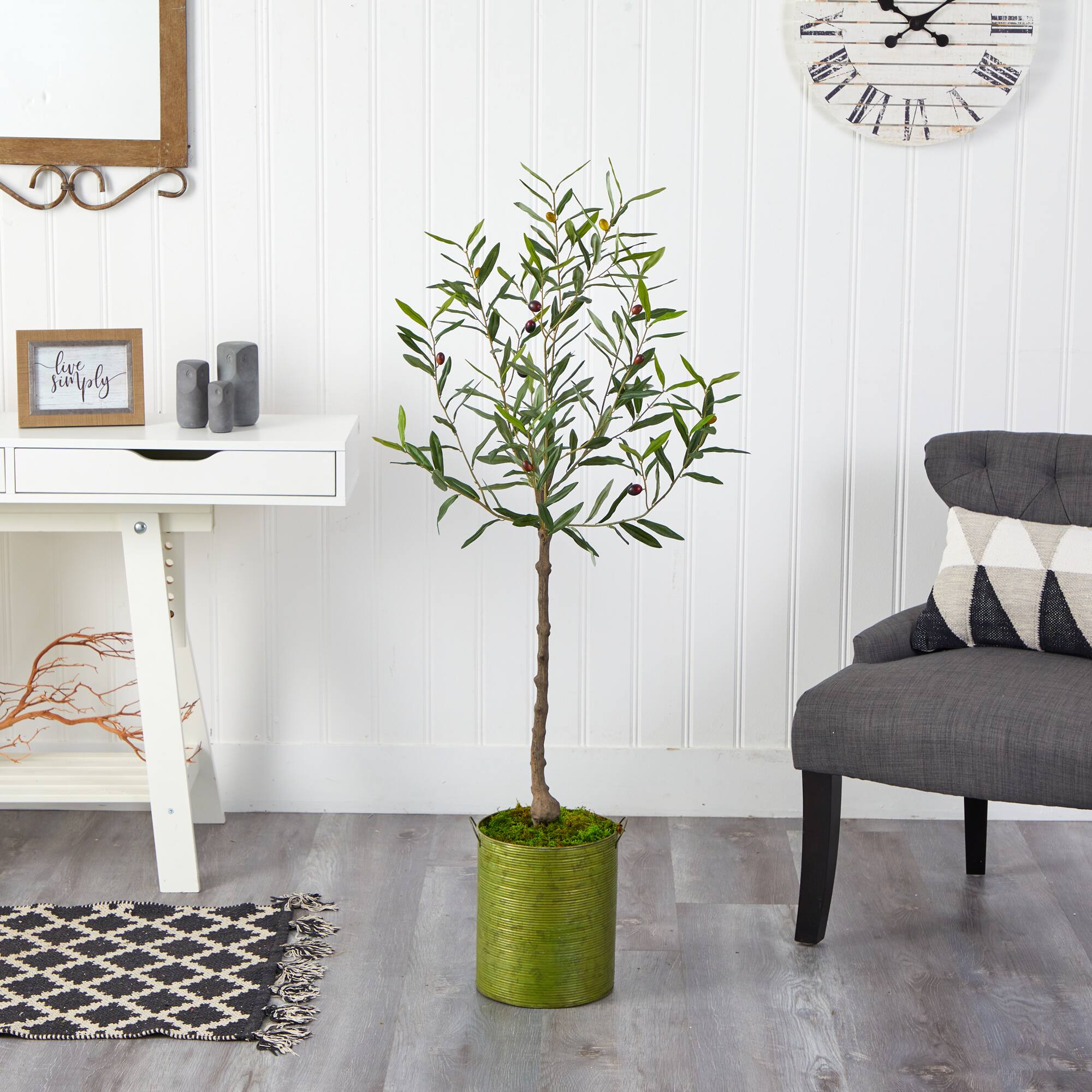 4.5ft. Olive Tree in Green Planter