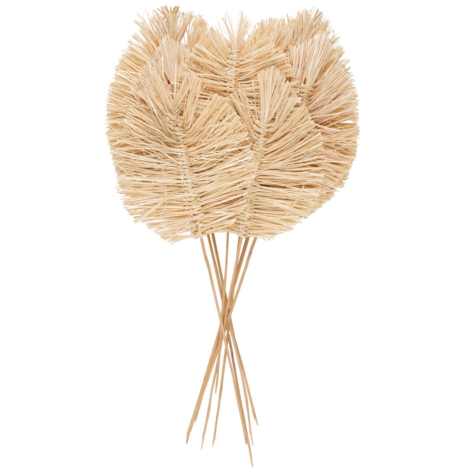 32" Light Brown Dried Grass Spear-Shaped Foliage with Sharp Stems