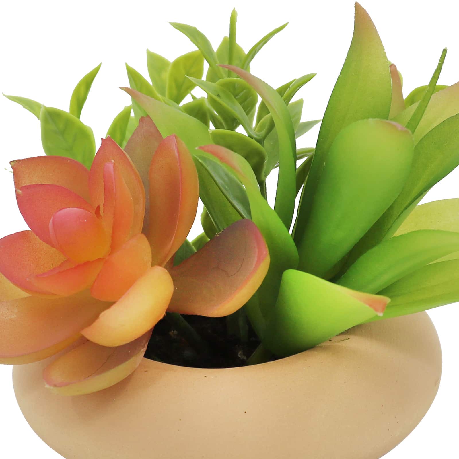 4&#x22; Succulent Mix in Orange Planter by Ashland&#xAE;