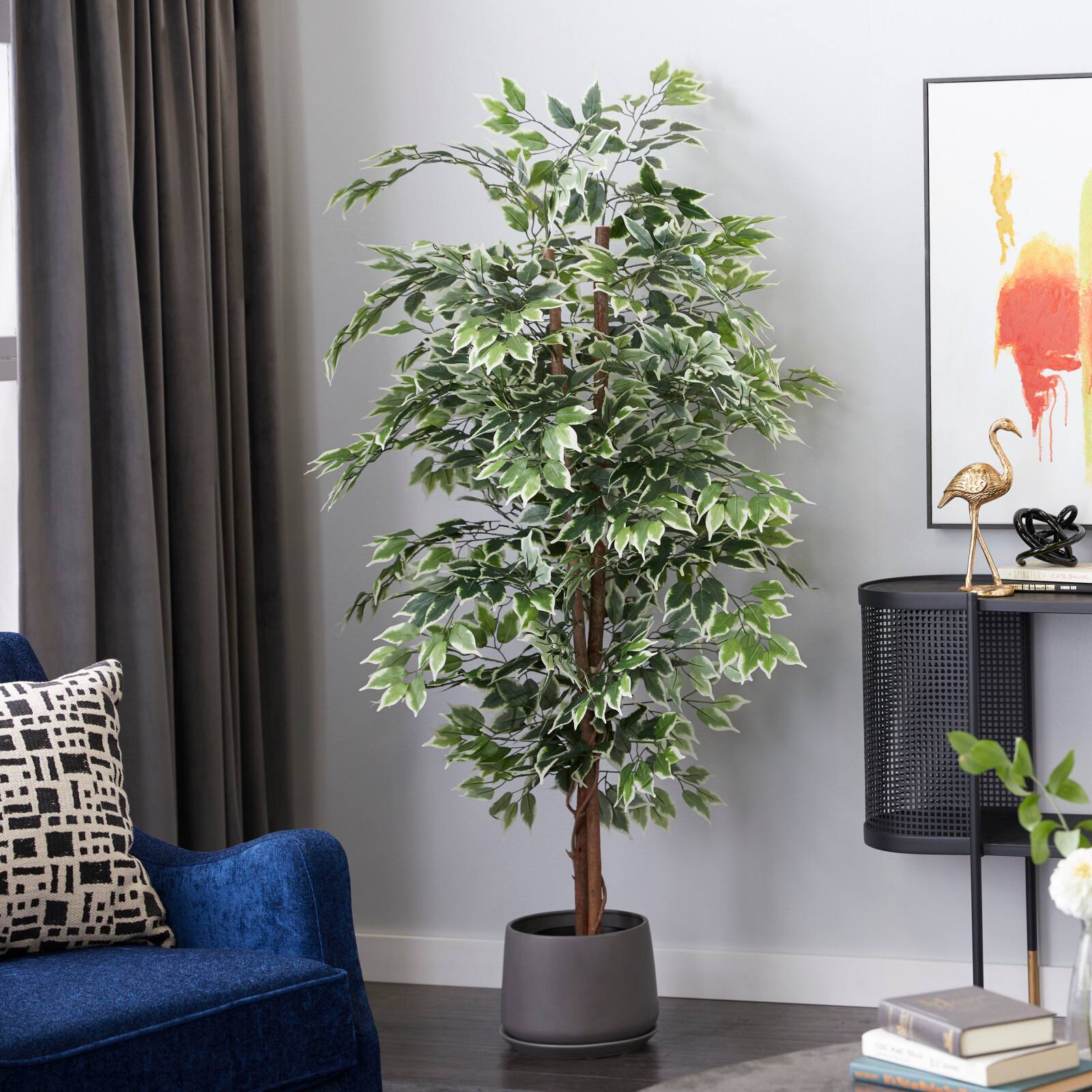 6ft. Potted Ficus Tree