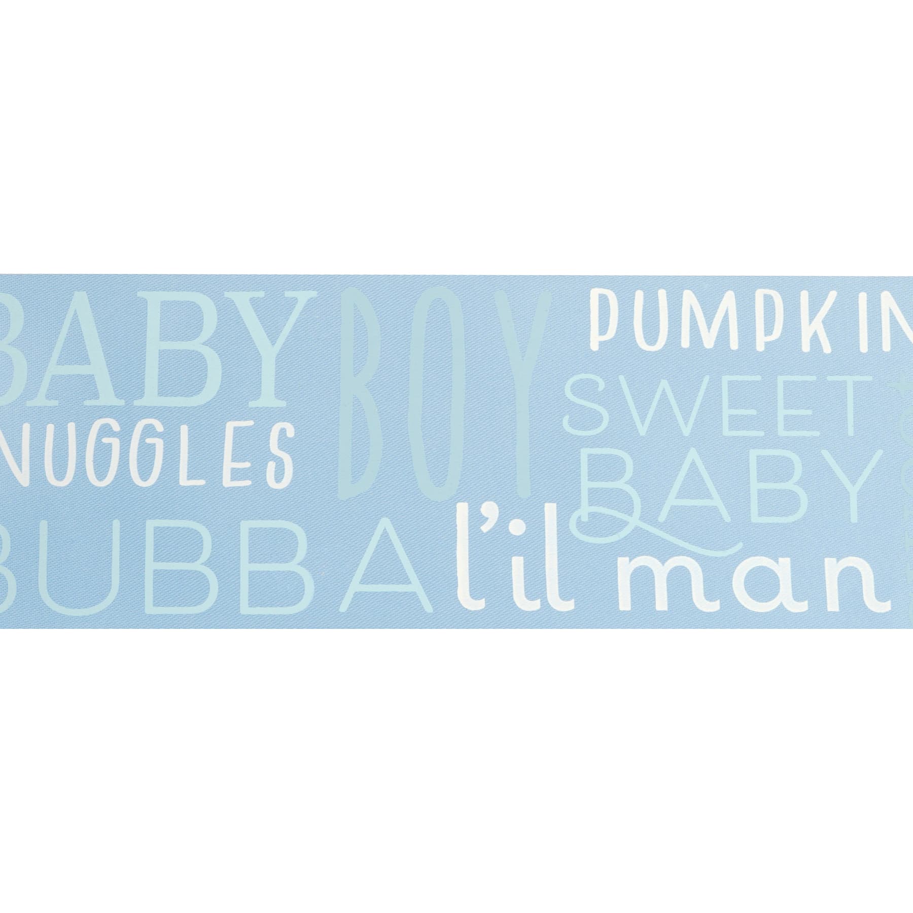 2.5&#x27;&#x27; x 5 yd. It&#x27;s a Boy Satin Ribbon by Celebrate It&#xAE;