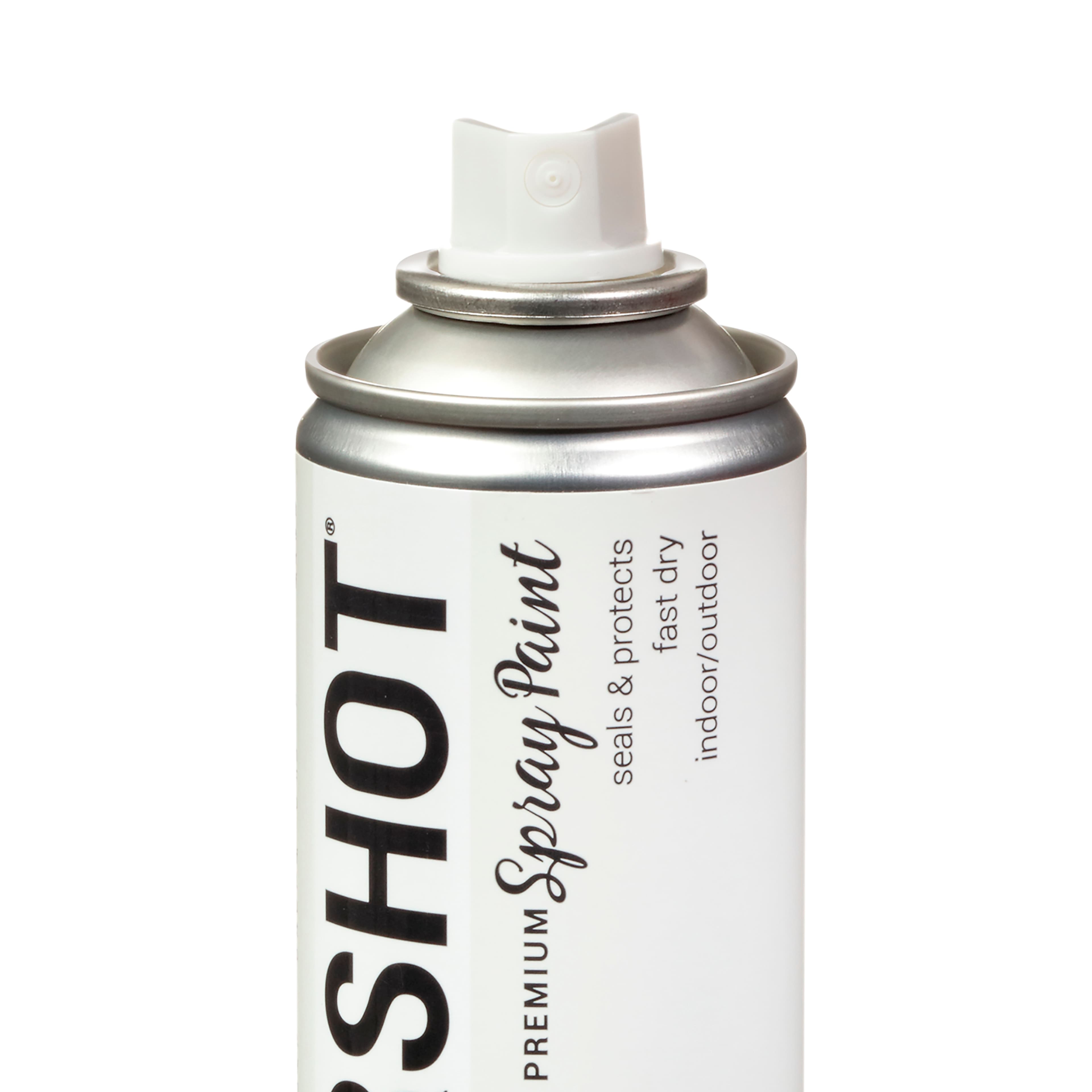COLORSHOT&#xAE; Premium Gloss Spray Paint