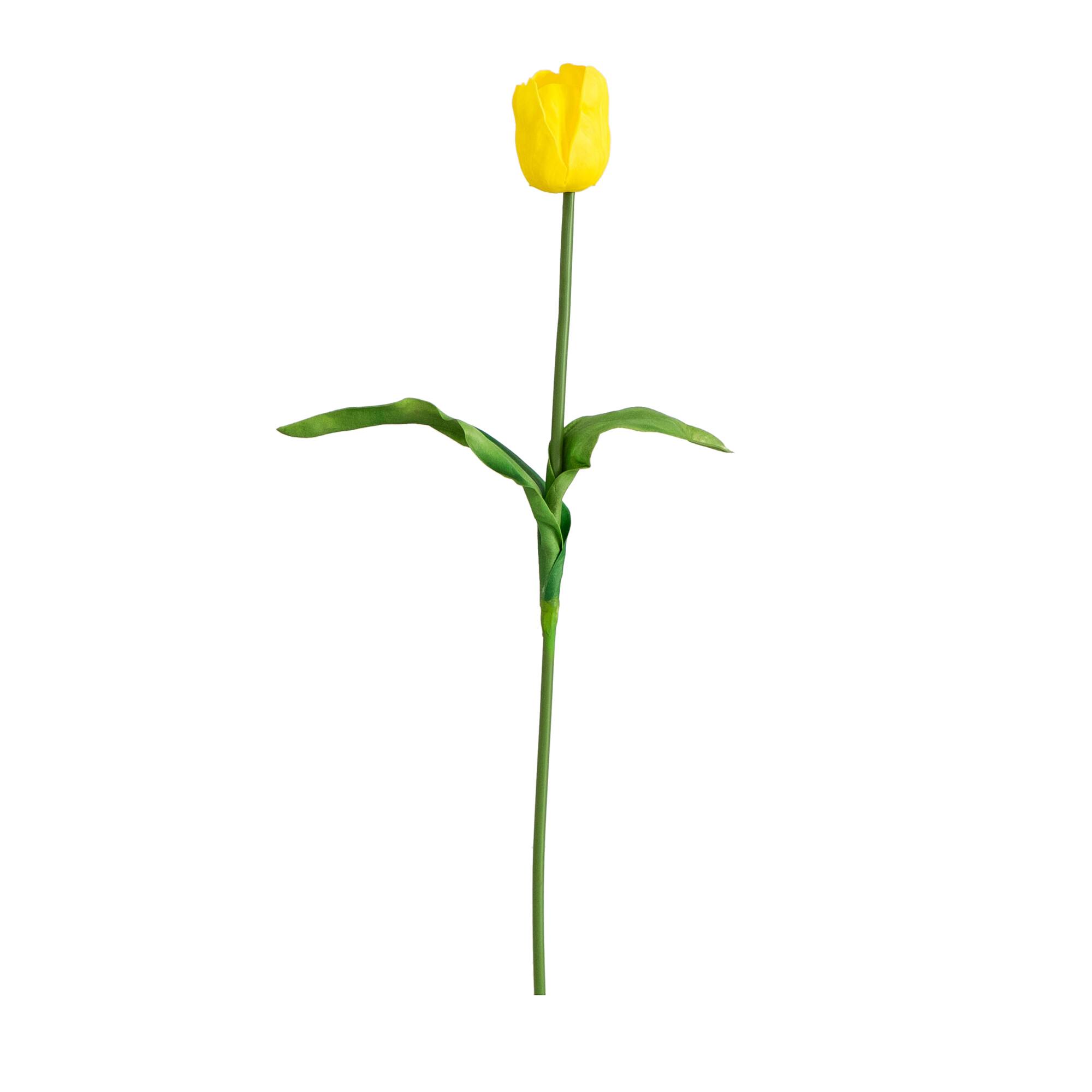 25&#x22; Yellow Tulip Flower Stems, 3ct.