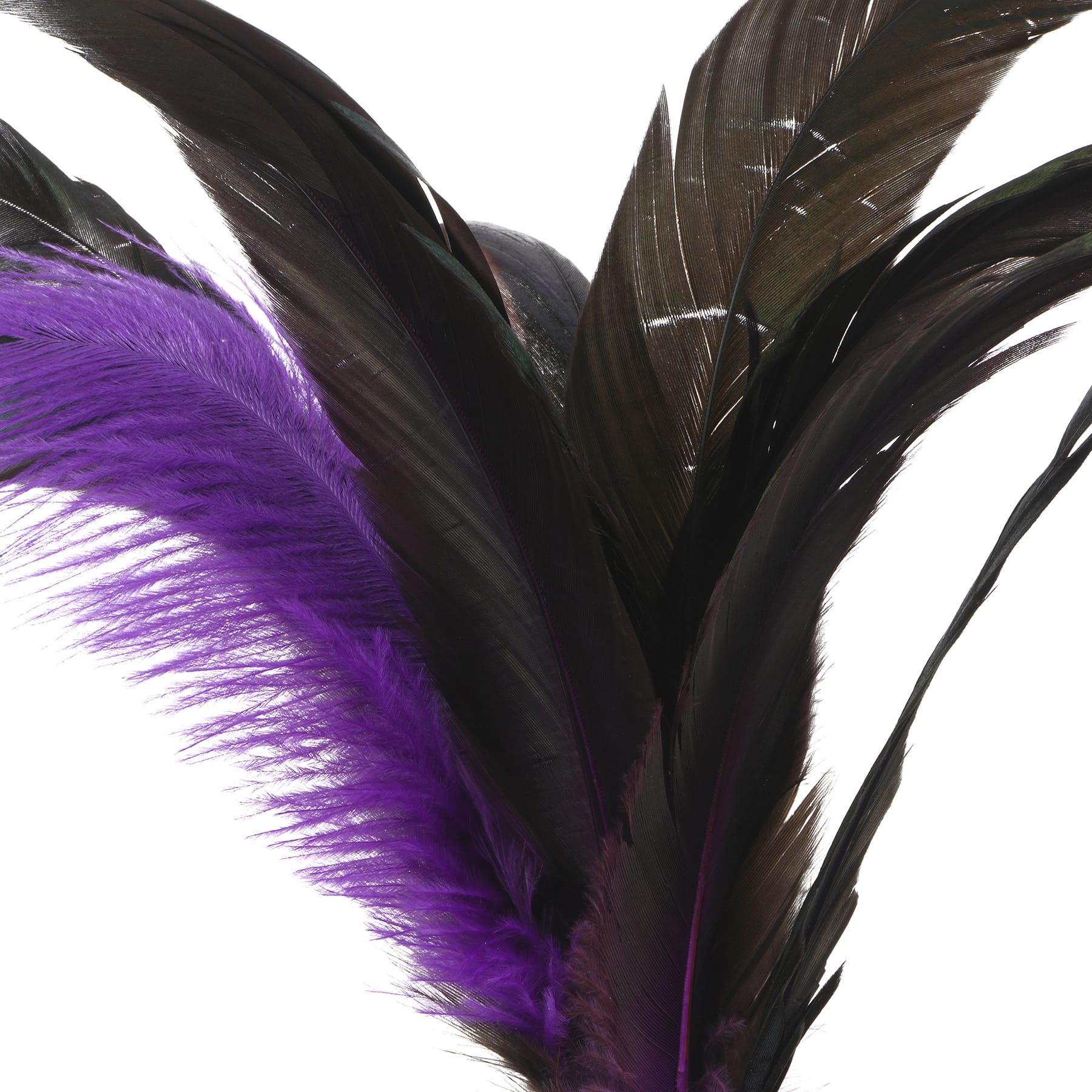 Halloween Feather Pick by Ashland&#xAE;