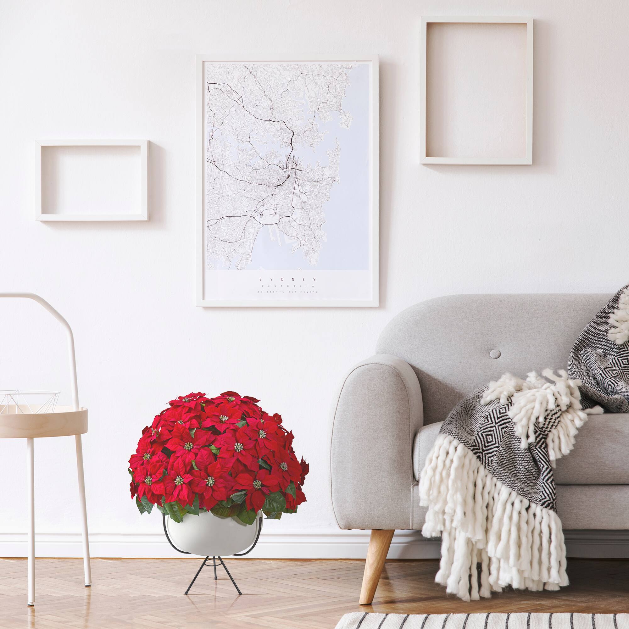 3ft. Red Grand Poinsettia Arrangement in White Vase with Metal Stand