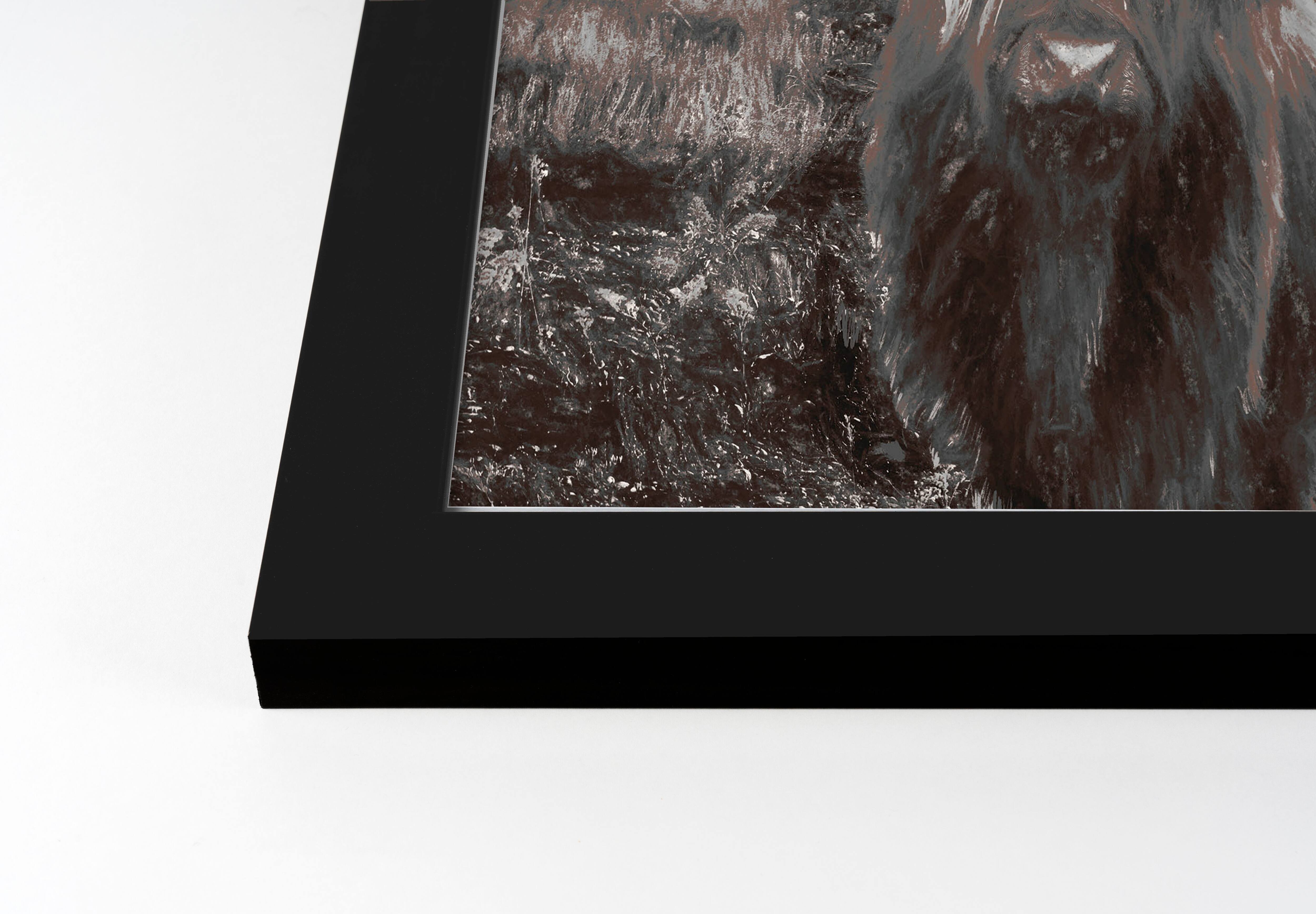 Highland Cow Charcoal Black Framed Print