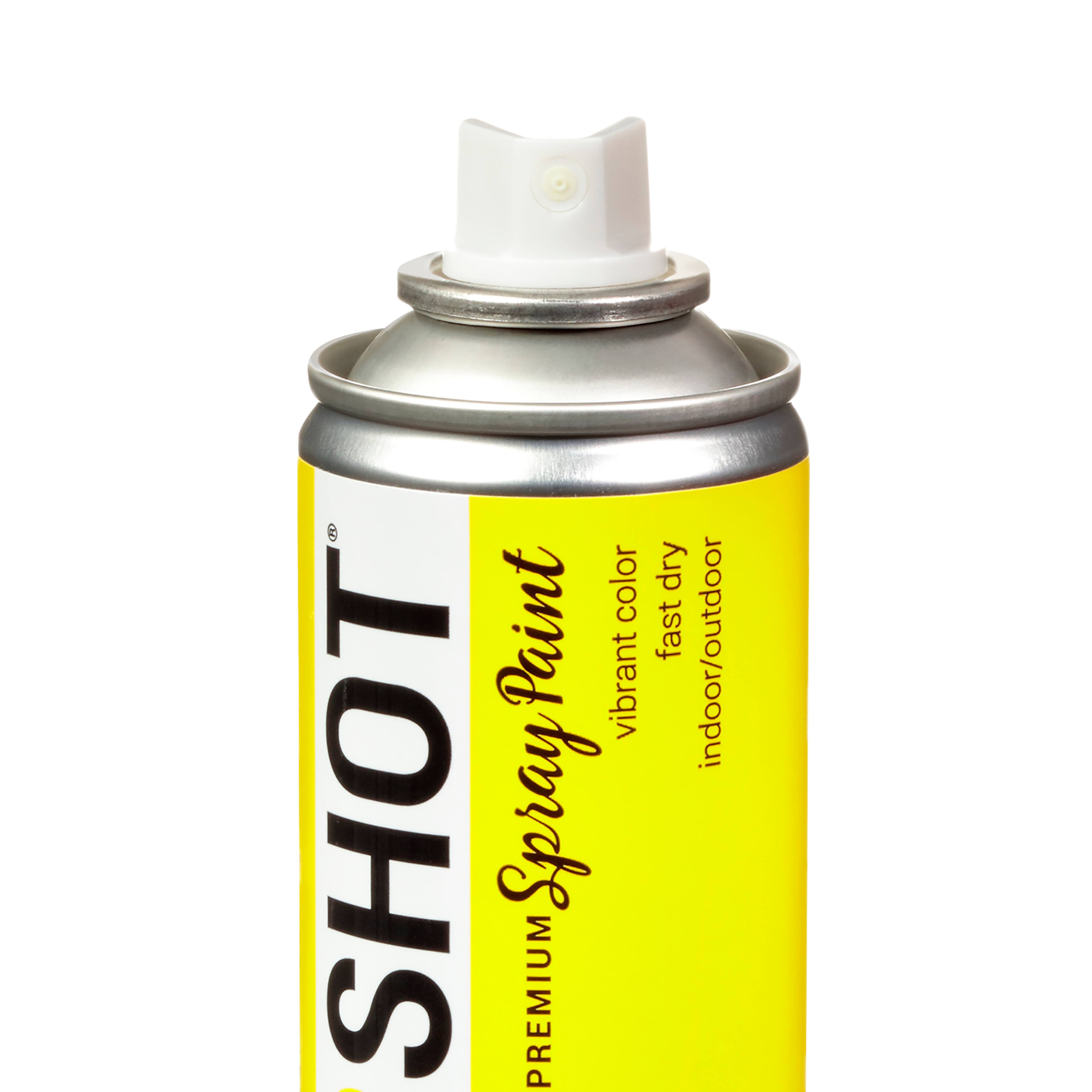 COLORSHOT&#xAE; Premium Gloss Spray Paint