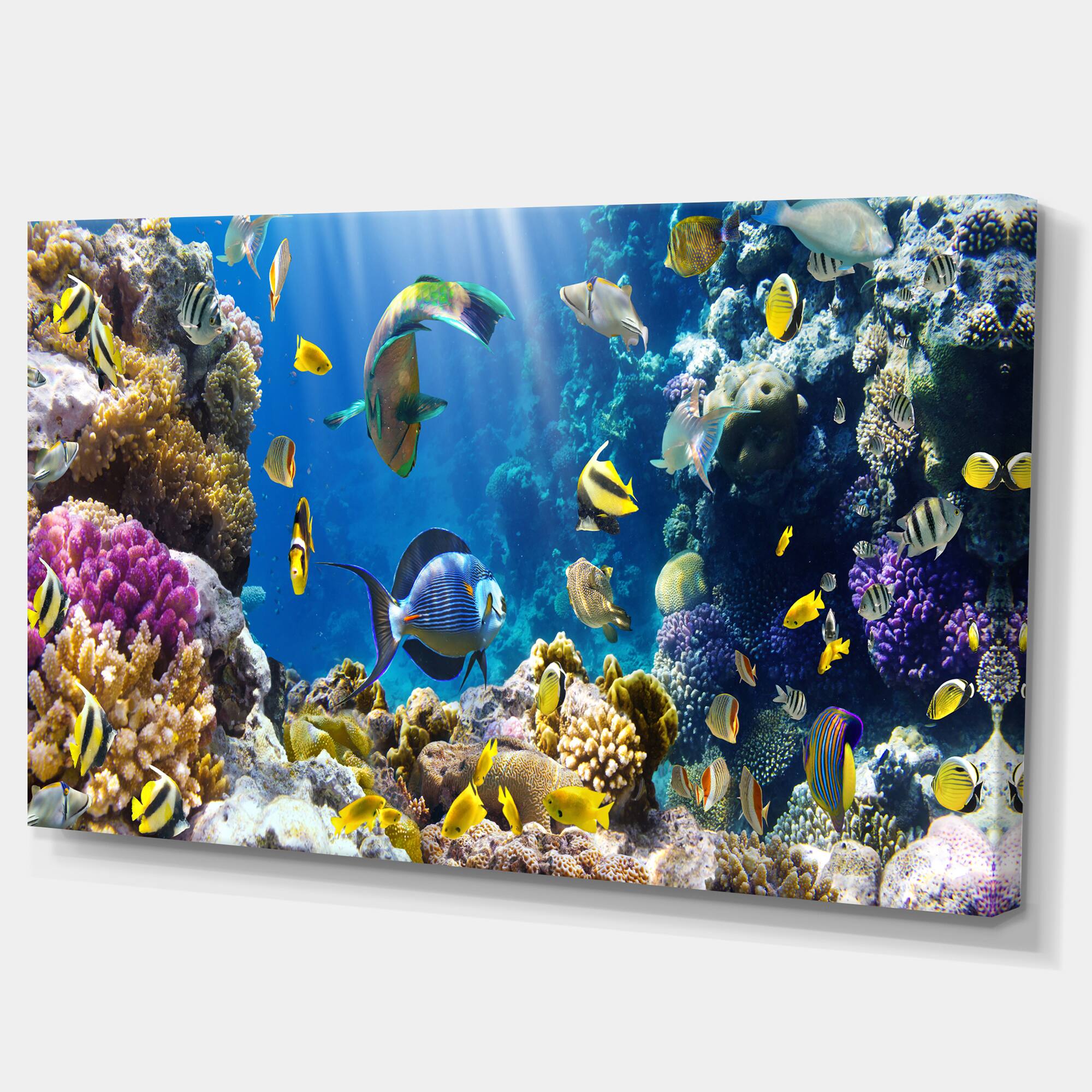 Designart - Fish in Coral Reef - Seascape Photography Canvas Art Print
