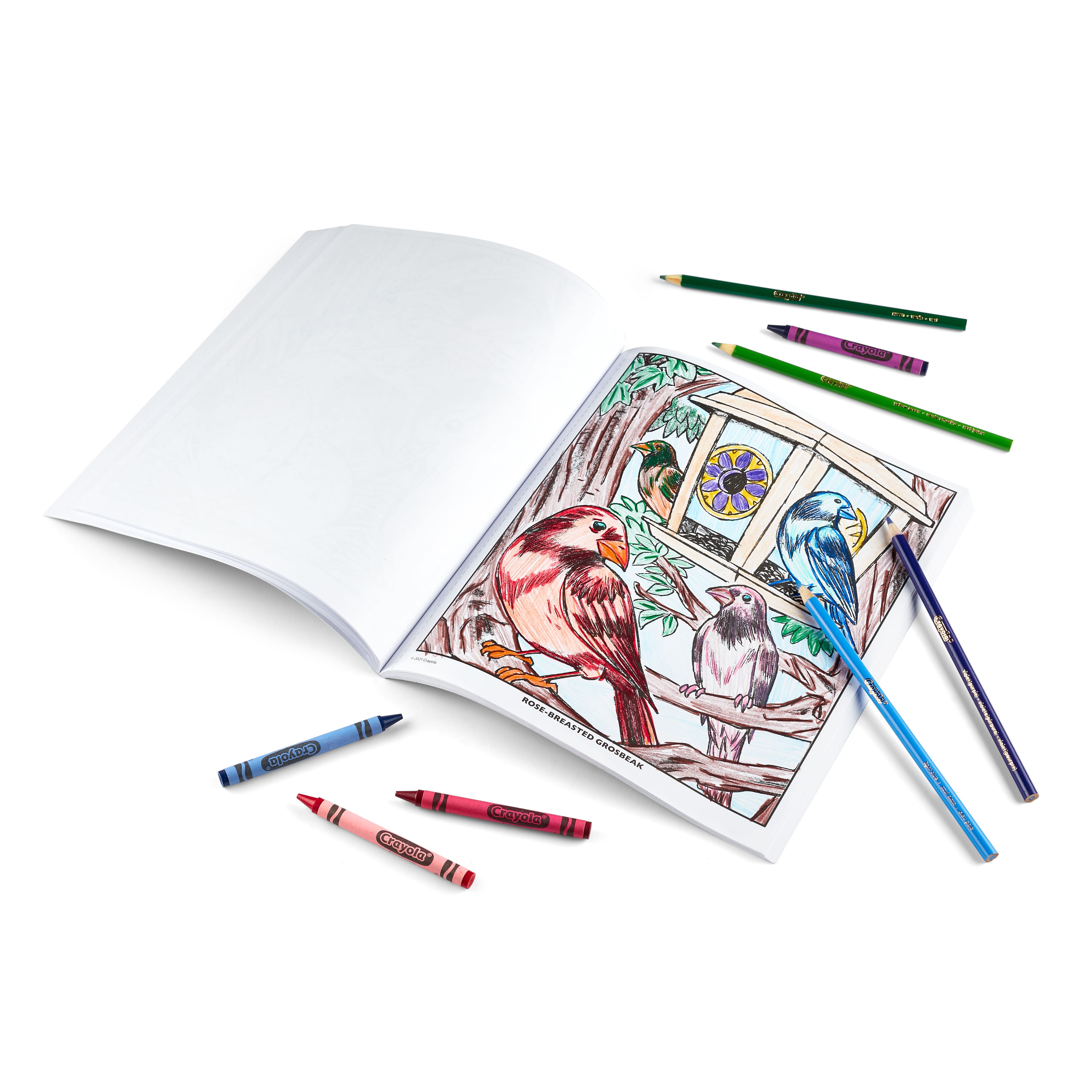 Crayola&#xAE; Bird Watching Coloring Book